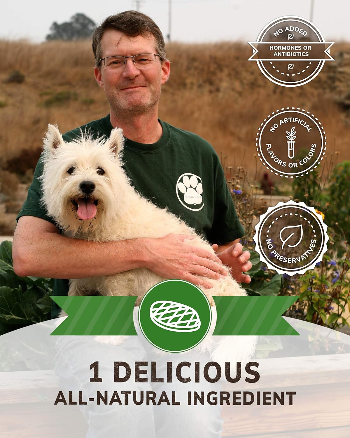 Wiley's Beef Jerky Pet Treats, Grain Free, All-Natural, Human Grade, Made in the USA (Beef 2-Pack 4 oz. Bags)