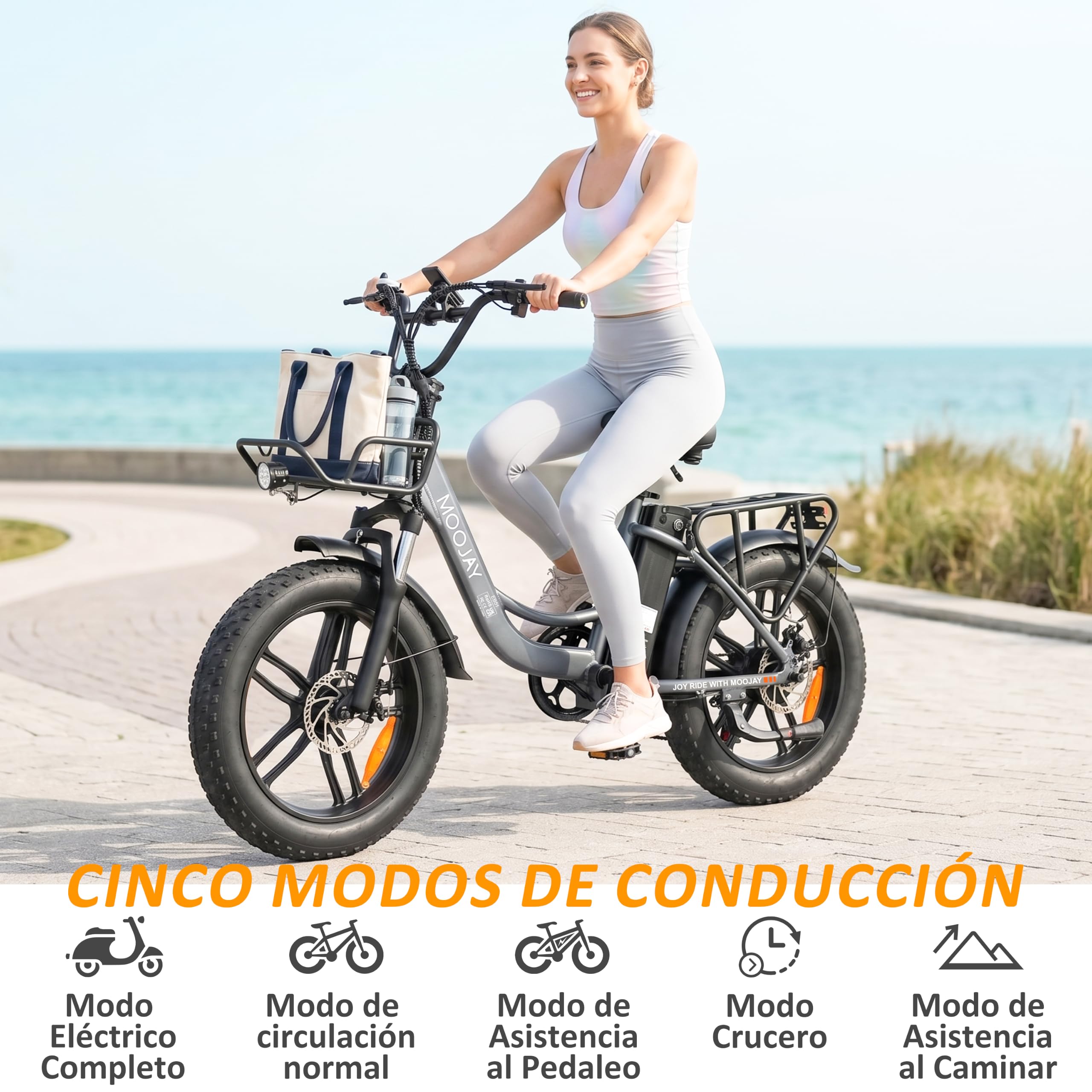 Bicicleta Eléctrica Adulto 20" Neumáticos Todo Terreno 250W Urbana