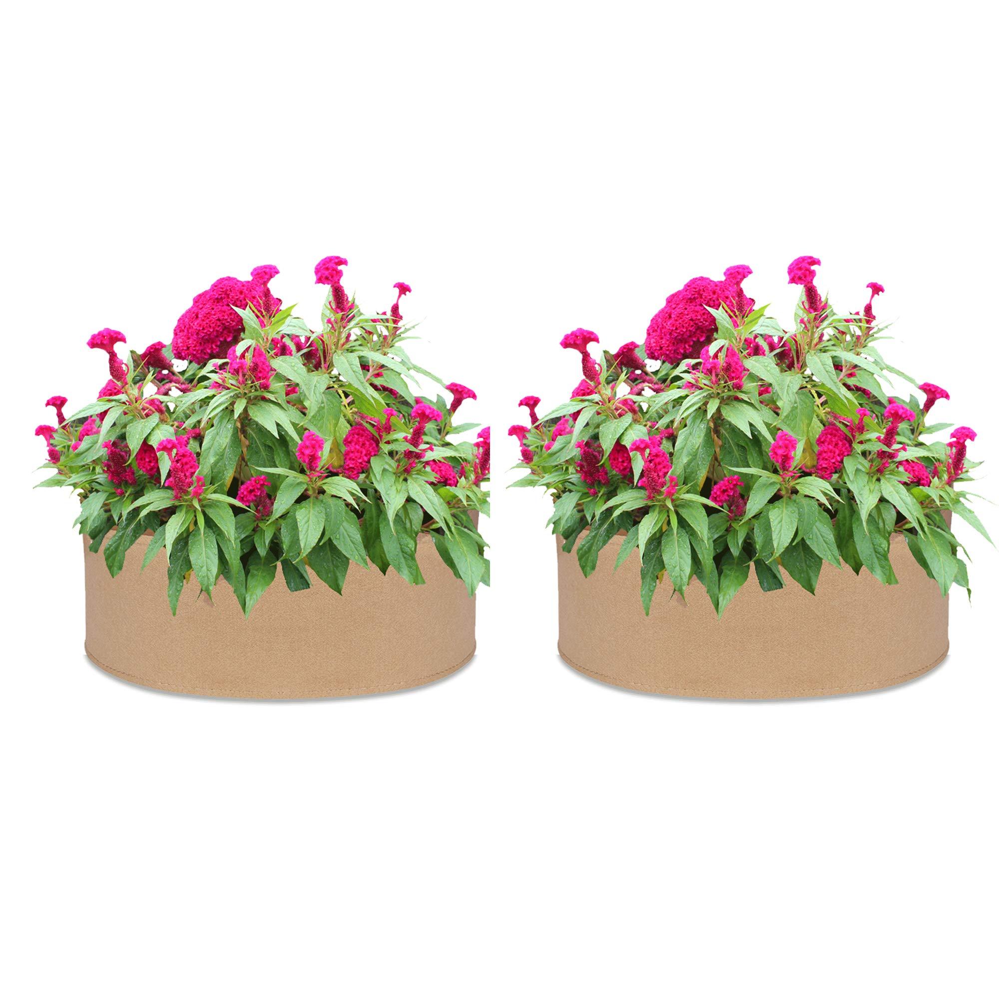 LWAN3 2-Pack Raised Bed Bag, 15 gallons Round Thickened Non-woven Planting Bed, Breathable Planter Pot for Outdoor Indoor Garden Herb Plants Flower Vegetable