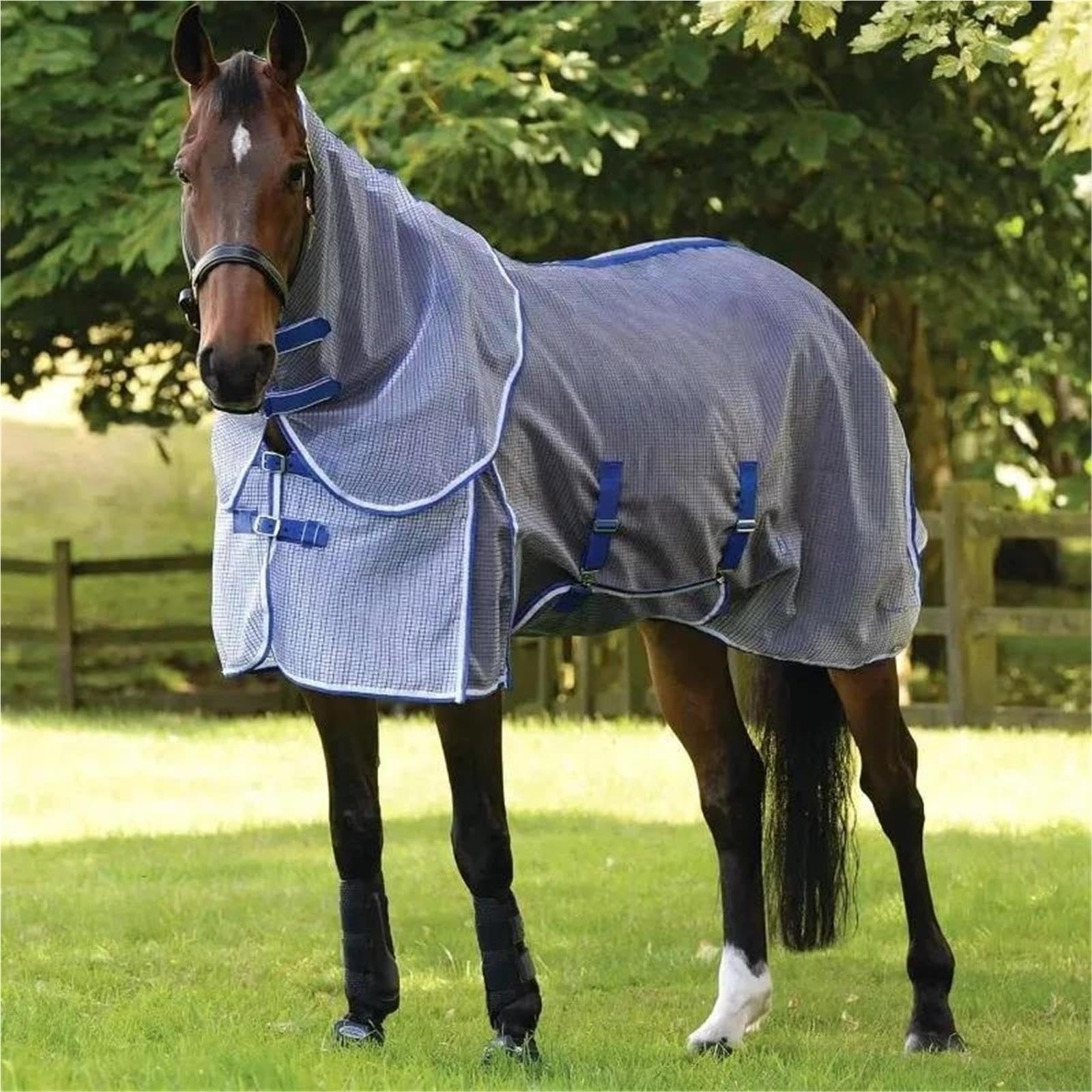 Coperta for Cavalli Equestre Leggera E Flessibile | Fornitura pratica for allenamenti di corsa e attività all'aperto