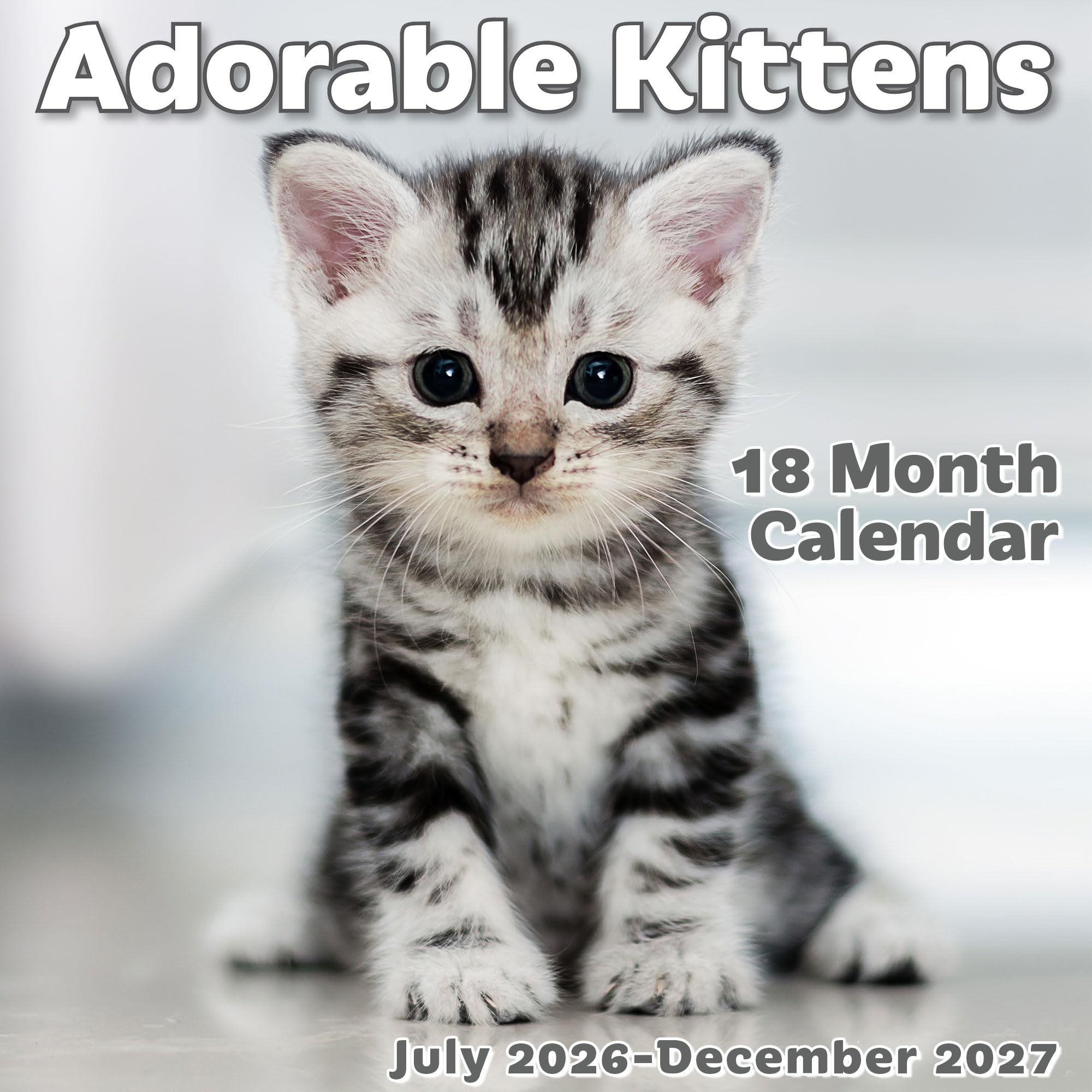 EcoEarth - 11x17 Inch Open Monthly Calendar - 18 Month Vertical Hanging Wall Calendar - July 2026 to December 2027 - Adorable Kittens