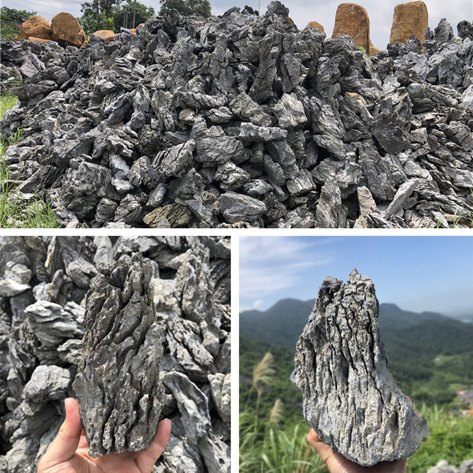 Seiryu Rock Pierre de dragon naturelle 9 kg – Pierres décoratives pour aquarium, terrarium et vivarium, 7 à 18 cm