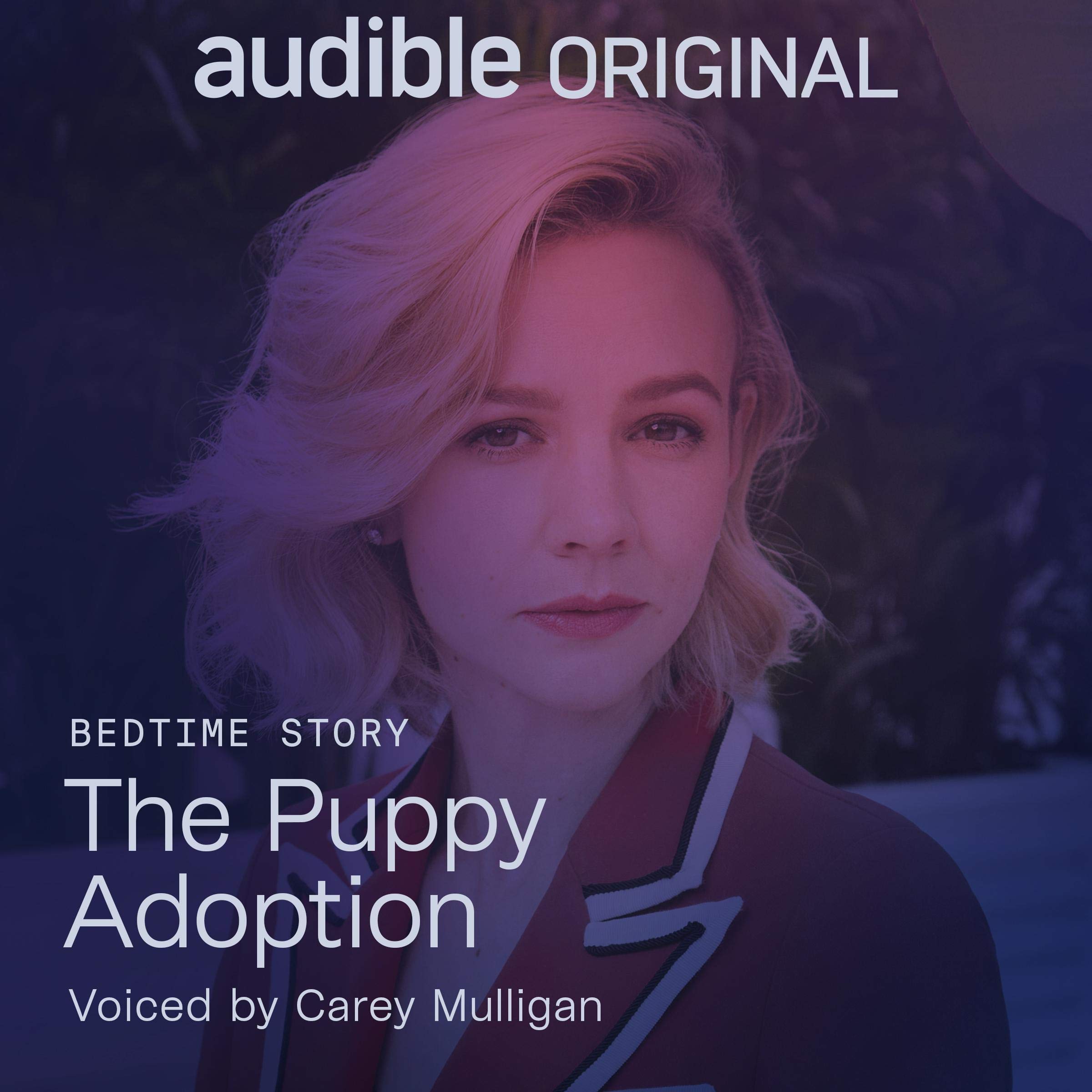 Cover art for The Puppy Adoption