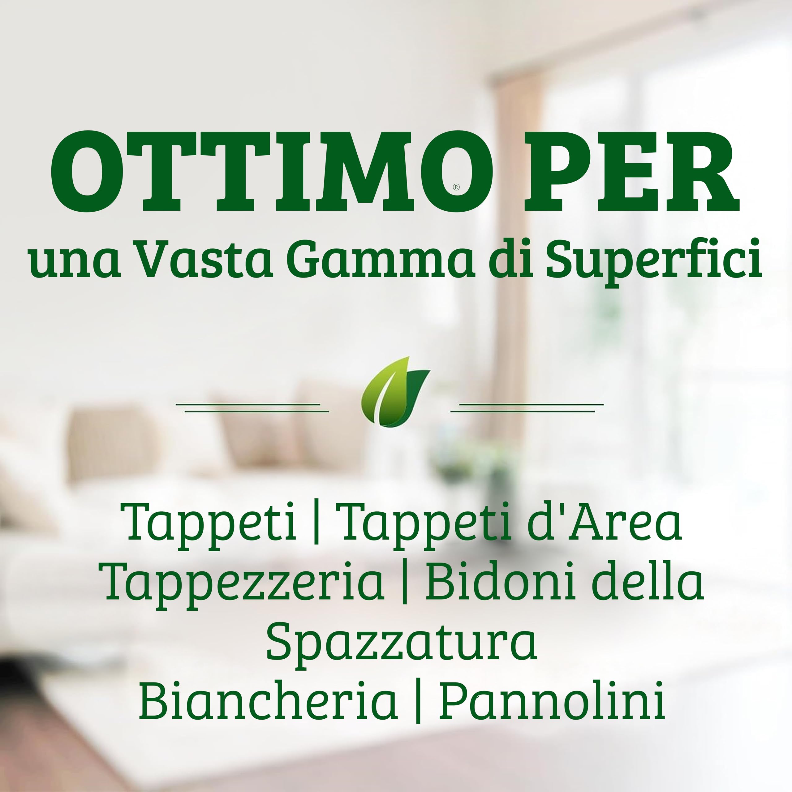 Biokleen Bac-Out - Soluzione per la Pulizia di Tappeti - Rimuovi Odori e Macchie con Enzimi - 3,8 L