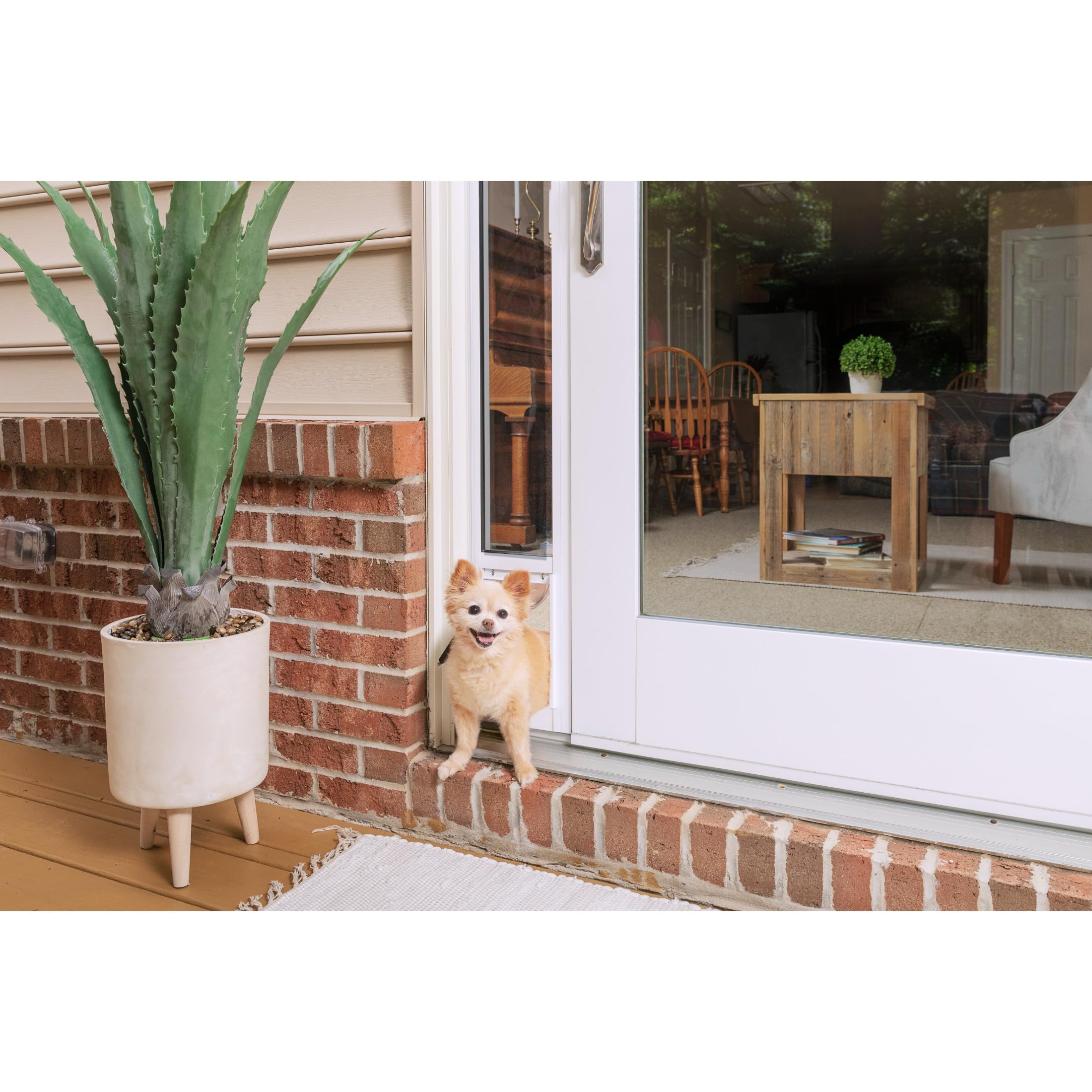 PetSafe 2-teiliger Glasschiebetüreinsatz mit Katzen- und Hundetür - Kein Zuschneiden Erforderlich, Passt Sich Automatisch an Türhöhe an 195 bis 206 cm, Langlebig, Wetterfest - Kleine Haustiere
