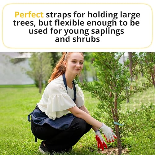 Miniatura 5 de IDL Packaging Cuerda plana para atar árboles de 34 x 250 pies, resistencia a la rotura de 1800 libras, color verde (paquete de 4) - Correas de árbol