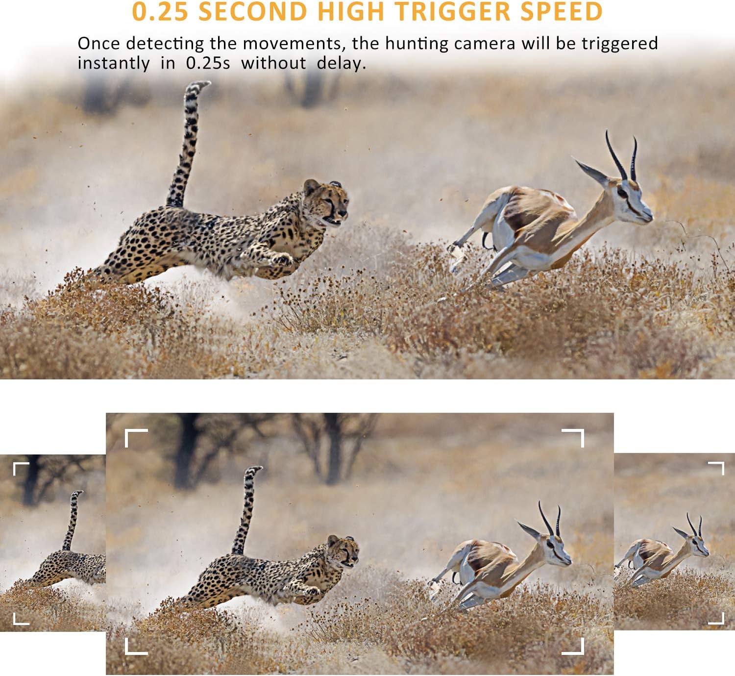 Uр Tо 40% оƒƒ OUDMON Trail Game Camera, 1080P Hunting Cam for Wildlife with Night Vision Motion Activated and No Glow IR LEDs, Waterproof IP67 Hоttеѕt Sаlеѕ OUDMON Trail Game Camera, 1080P Hunting Cam for Wildlife with Night Vision Motion Activated and No Glow IR LEDs, Waterproof IP67