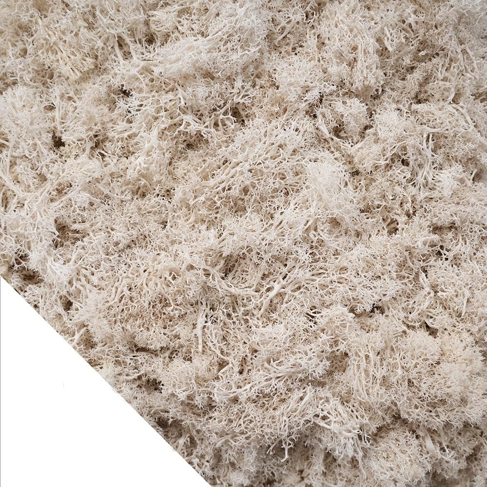 HZLXF1 100g Eternal Life Moss Artificial Plants,DIY Crafts Grass Garden Home Room Decor Mini Landscape Fake Grass(A005)