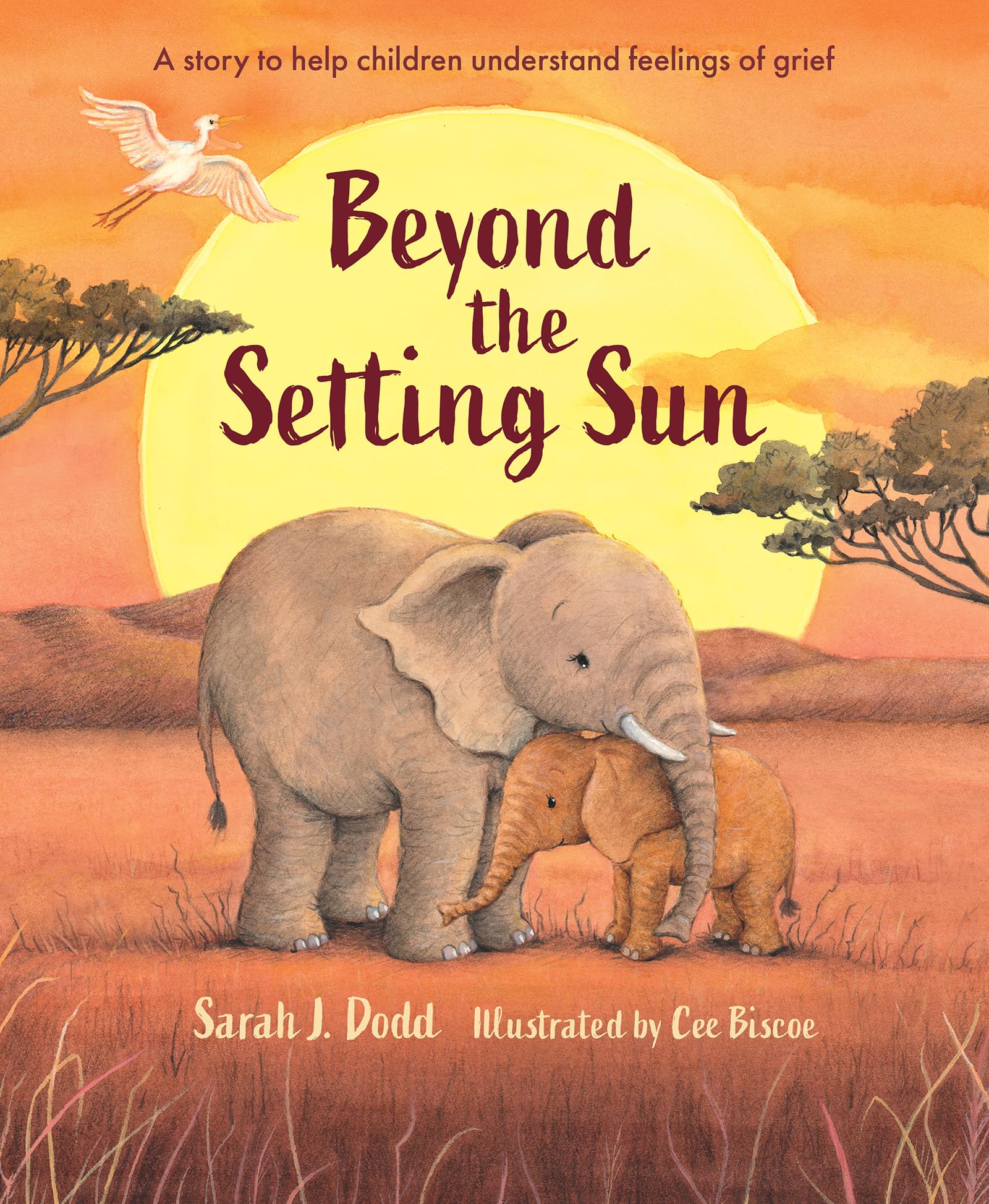 Beyond the Setting Sun by Sarah J. Dodd, Cee Biscoe, Debbie D... - 9781915748256