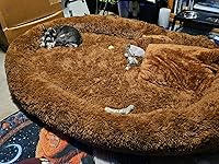 Review Image by Leah George Leah George