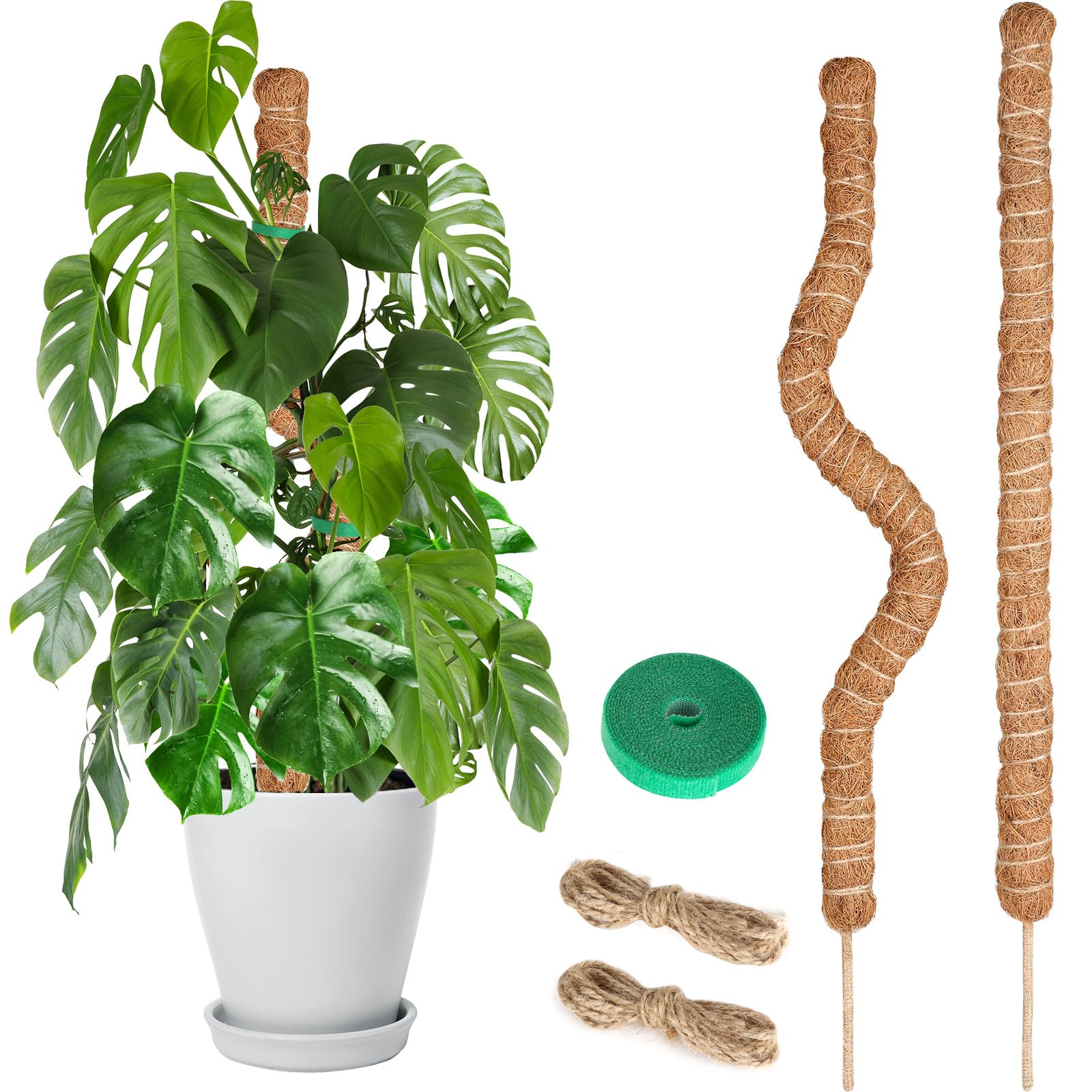 Joaercs Moss Pole for Monstera, 120CM, 2 Pcs Sticks, Plant Supports for Indoor Plants, for Climbing Vines, Pothos, Potted, Comes with Velcro Tape and Hemp Rope