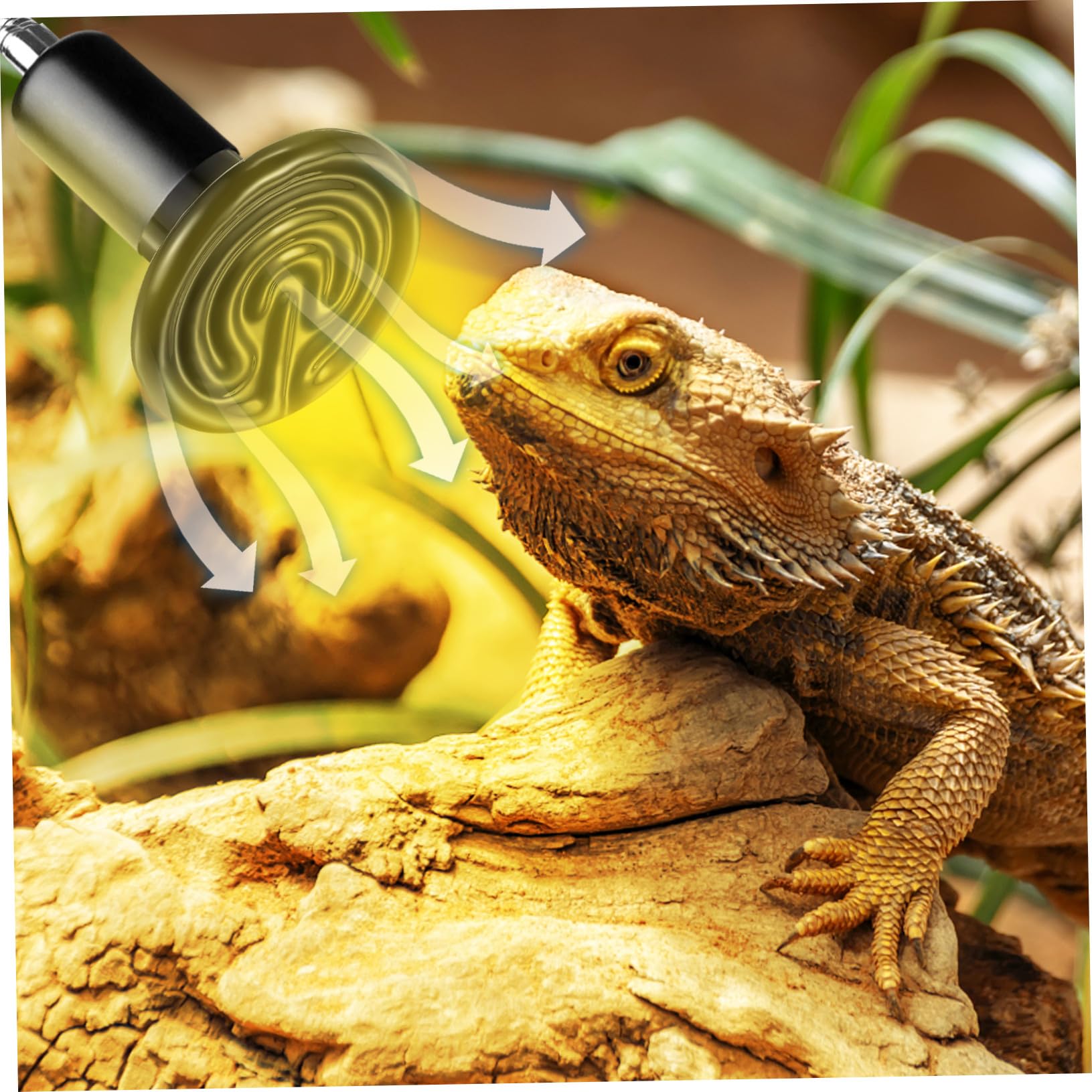 3 Szt Grzewcze Do Terrarium Grzewcze Dla Zwierząt Emitery Ciepła Dla Gadów Lampa Grzewcza Dla Jaszczurek Lampa Grzewcza Dla Gadów Żarówki Do Lamp Grzewczych Dla