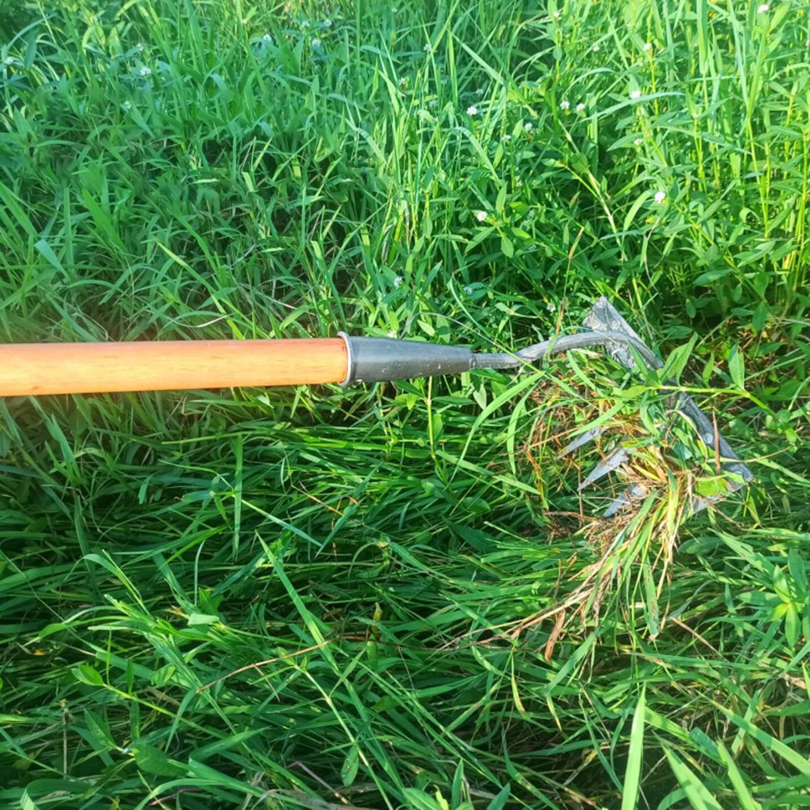 Rastrillo de acero al carbono para desherbar el jardín, de 5/6/7/8 dientes, de hierro para jardinería y desherbar, desmontable, para desmalezar el césped del patio y aflojarlo.