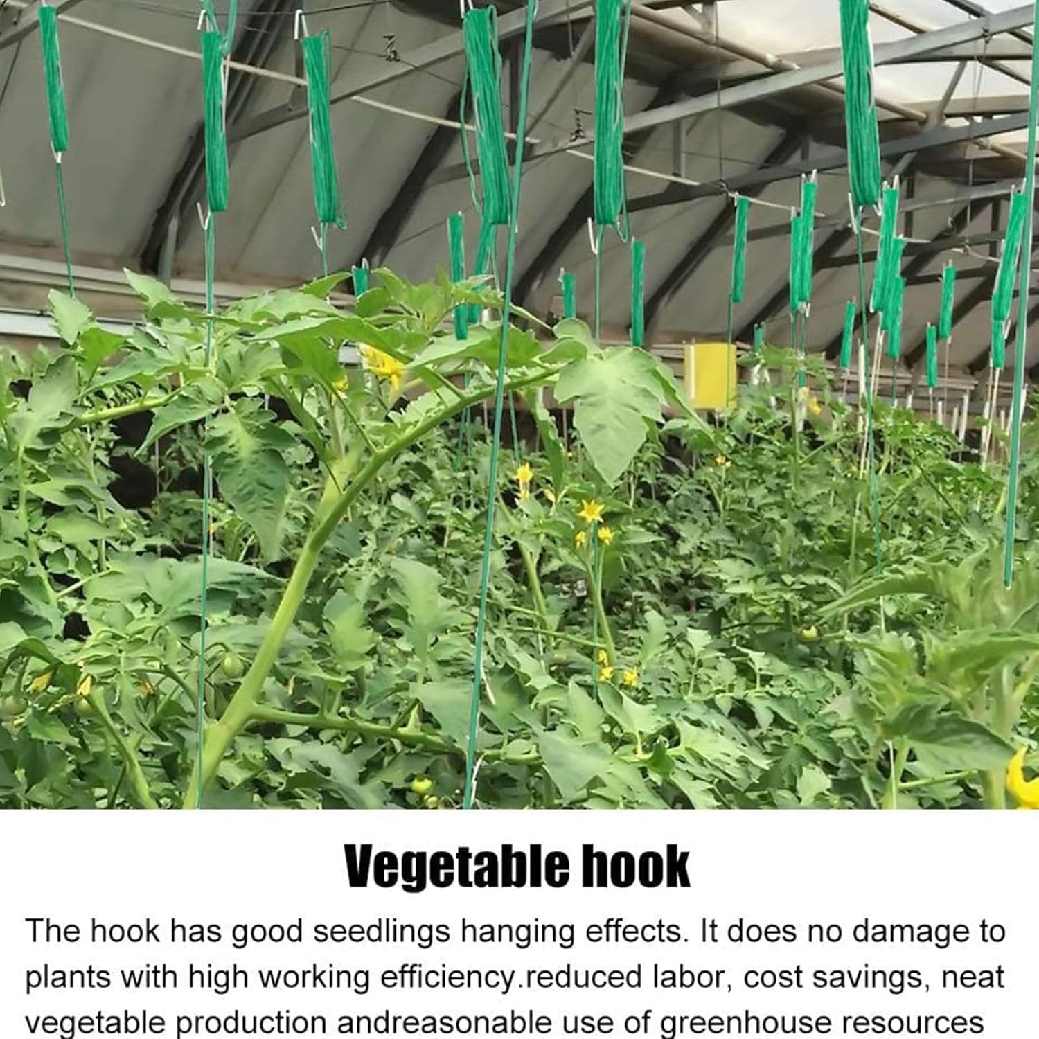 Climbing Plant Support Hooks, Tomato String Holders with 40 Clips, Stem Fixing Kit for Eggplant Cucumber Pepper Watermelon Flower Garden