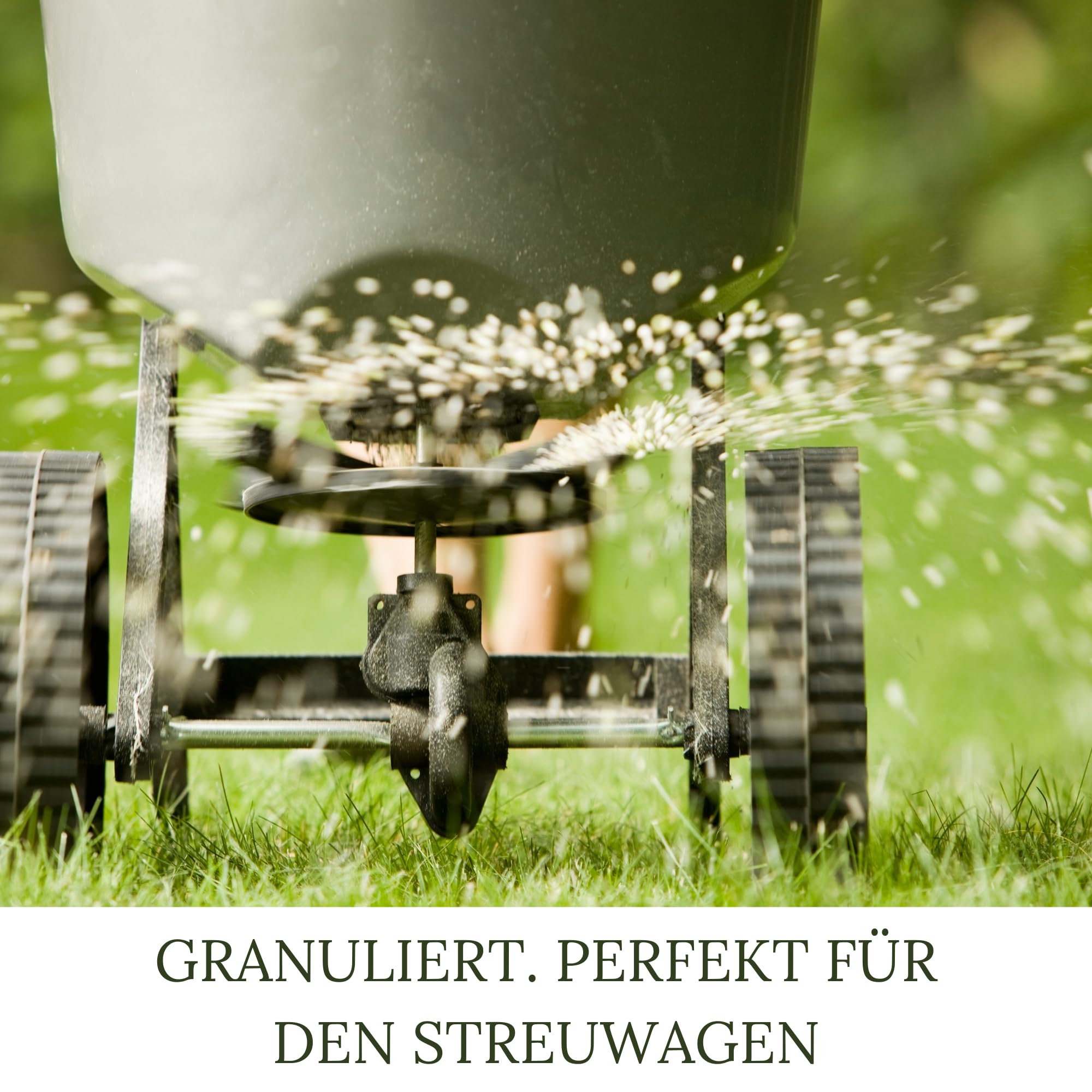 Bio Rasenkalk, Gartenkalk, Kalk, Düngekalk gegen Moos, Filz und Pilze im Rasen, fein gekörnt und staubarm, Gewicht: 30 Kg Für 600 M²