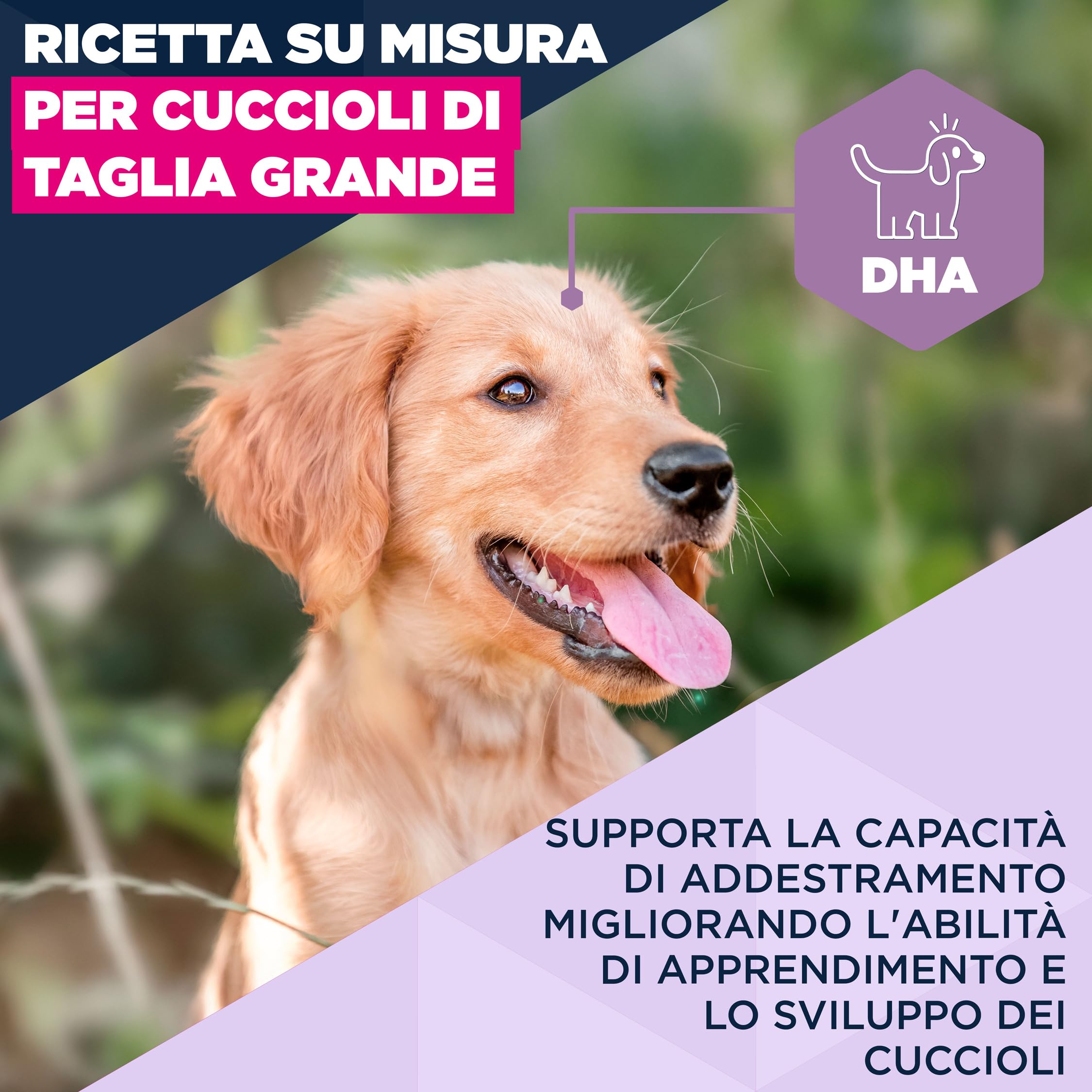 EUKANUBA Cibo secco per Cuccioli con agnello e riso per razze di taglia grande - Alimento secco premium per Cani giovani, 12 kg