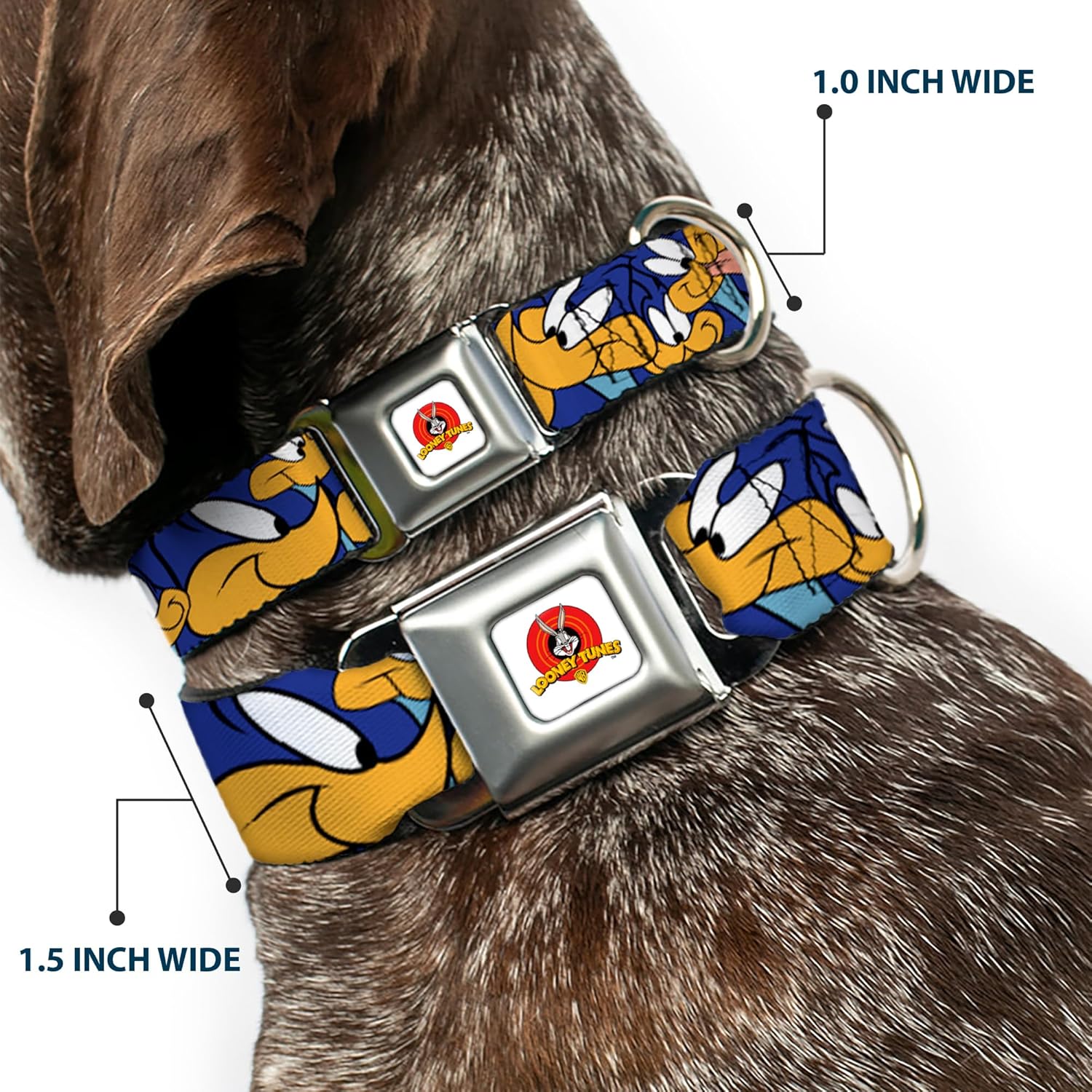 Buckle-Down Seatbelt Buckle Dog Collar - Road Runner Expressions Stacked - 1.5" Wide - Fits 18-32" Neck - Large