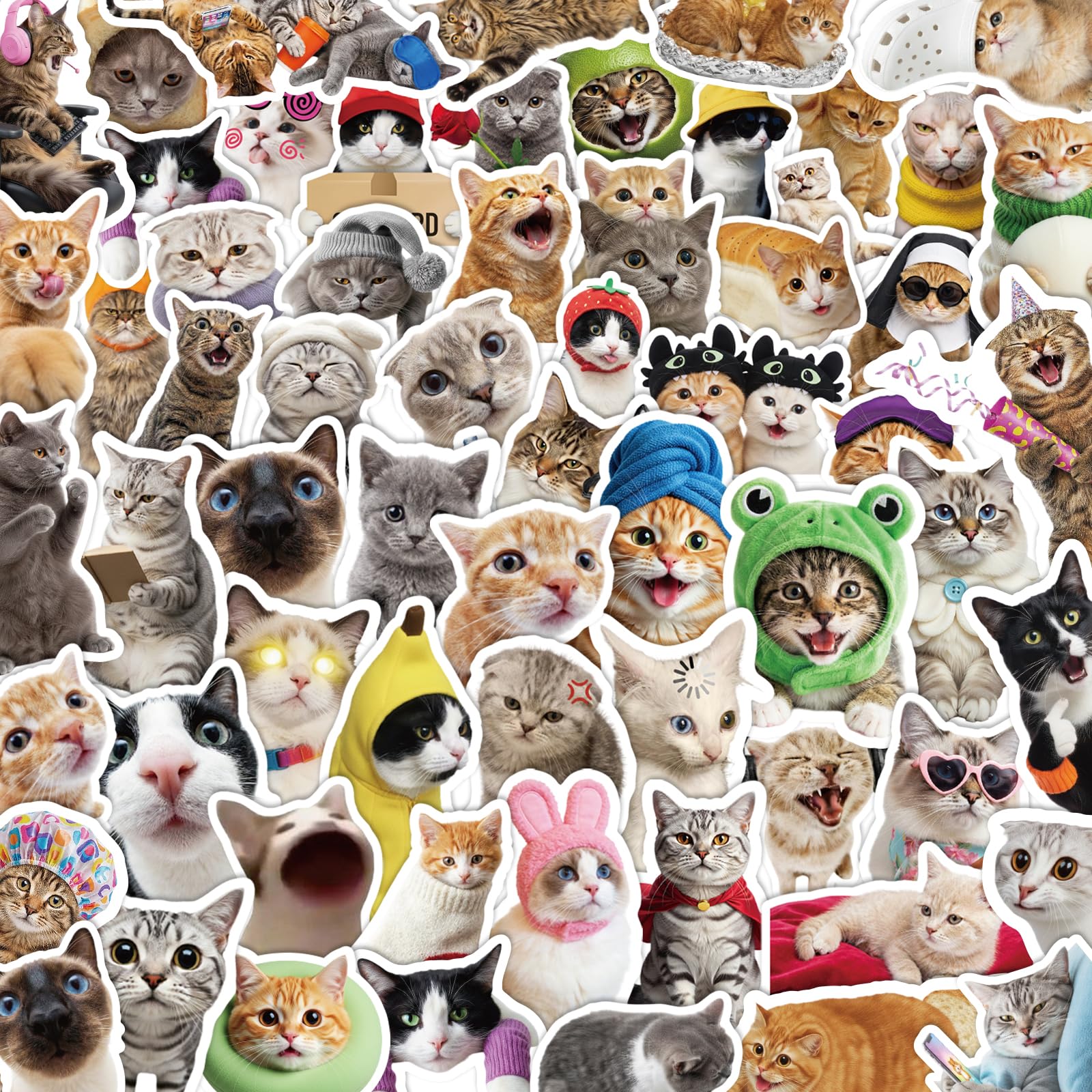 View 1 of 200 Cat Meme Stickers - Waterproof Vinyl Decals