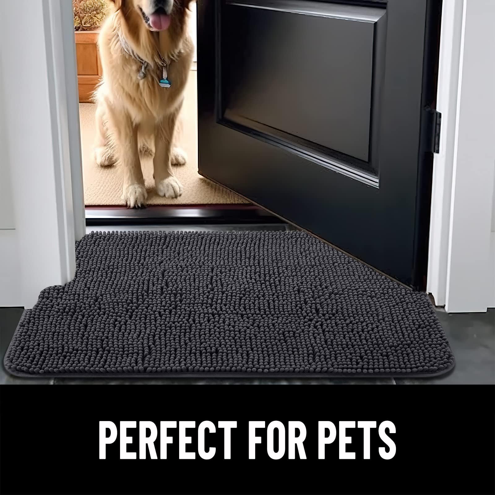https://m.media-amazon.com/images/I/81wd8FMLNhL.jpg