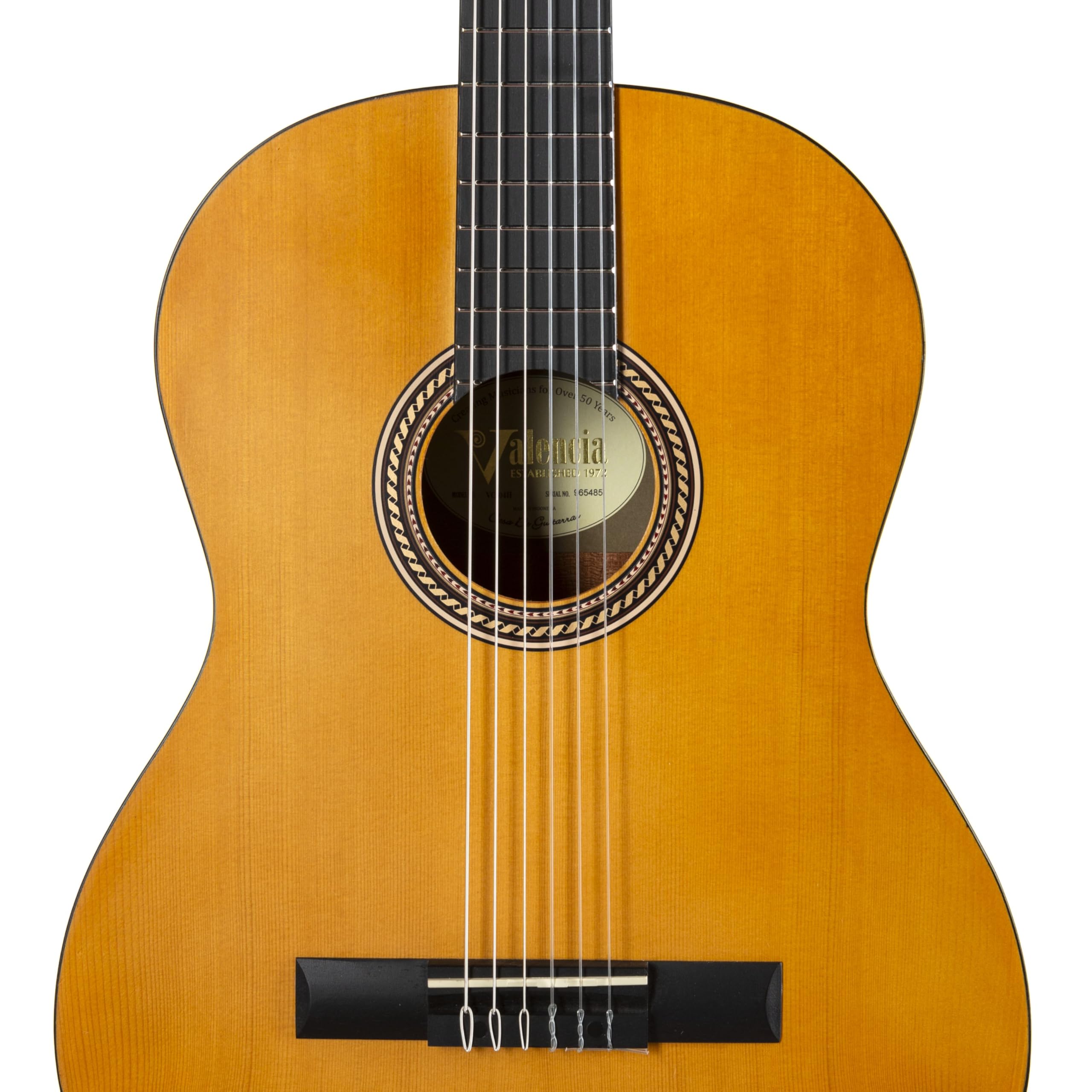Amazon.com: Valencia VC204H 200 Series Classical Guitar, Antique