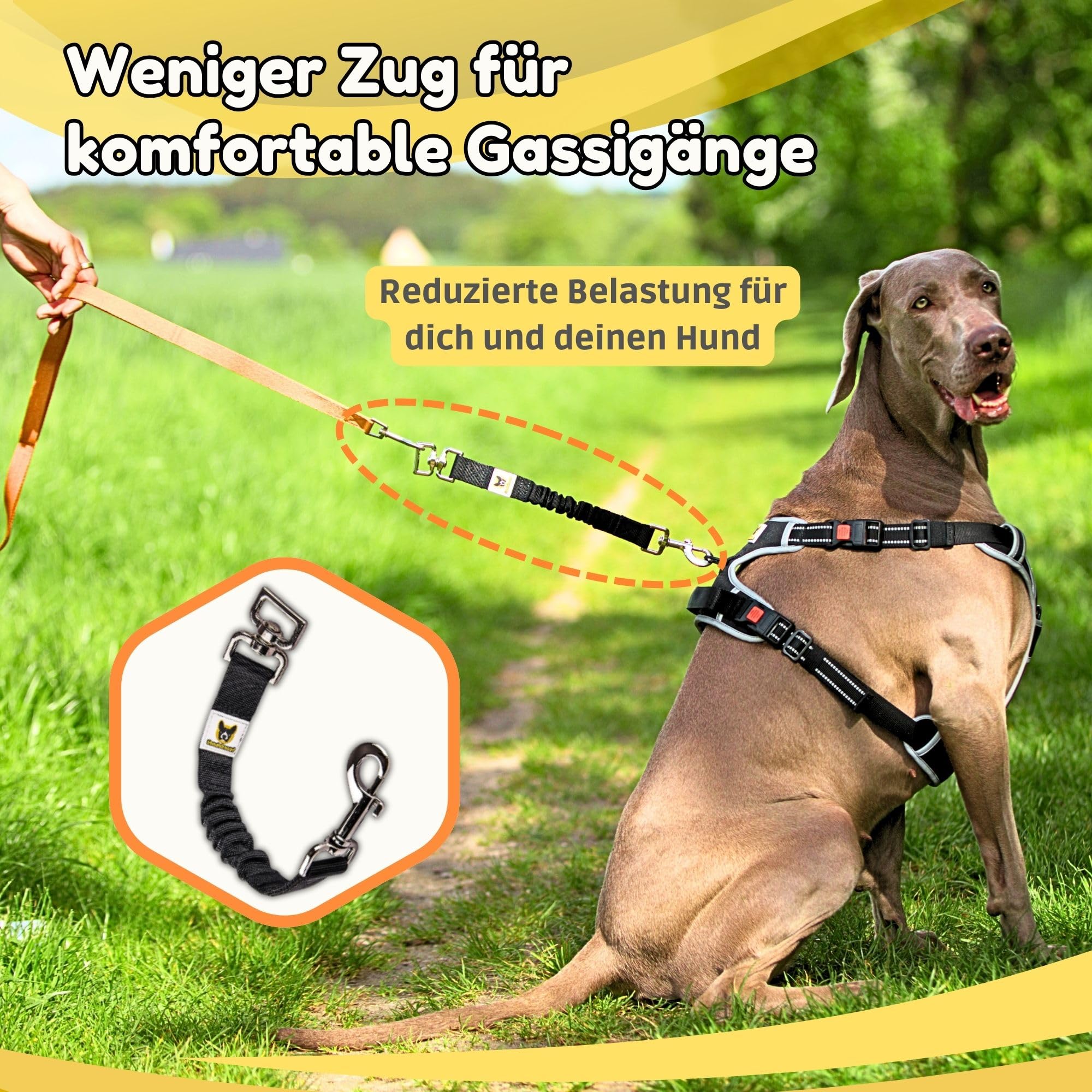 Hundefreund Amortyzator do Smyczy – 30 cm Przedłużka z Tłumieniem Szarpnięć