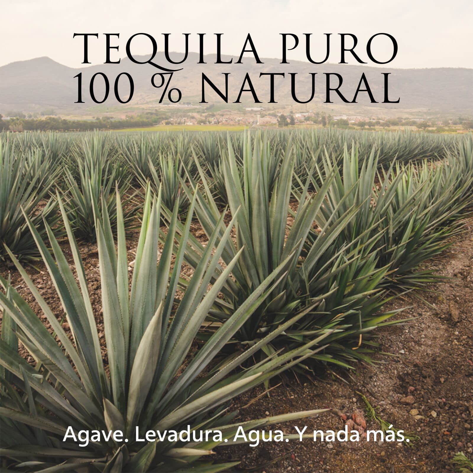PATRÓN Silver Premium Tequila, 40 % vol., 70 cl / 700 ml, Tequila 100% de agave, elaborado artesanalmente en México, en pequeñas cantidades, con el mejor agave Azul Weber