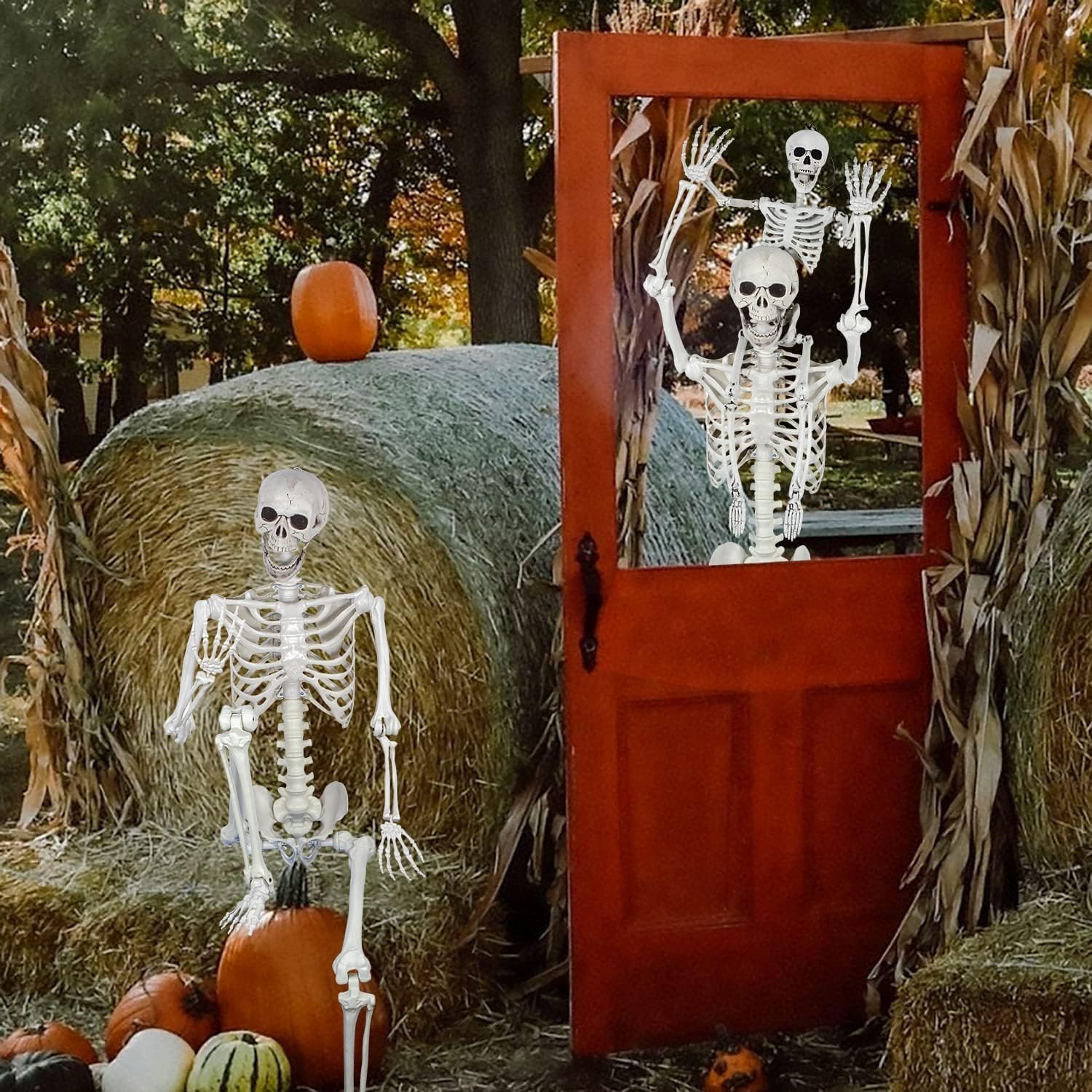 165 cm Halloween Taille réelle Squelette Corps Entier os avec articulations Amovibles Party Prop Horreur cimetière Maison hantée pelouse Cour décoration (165cm Updated)