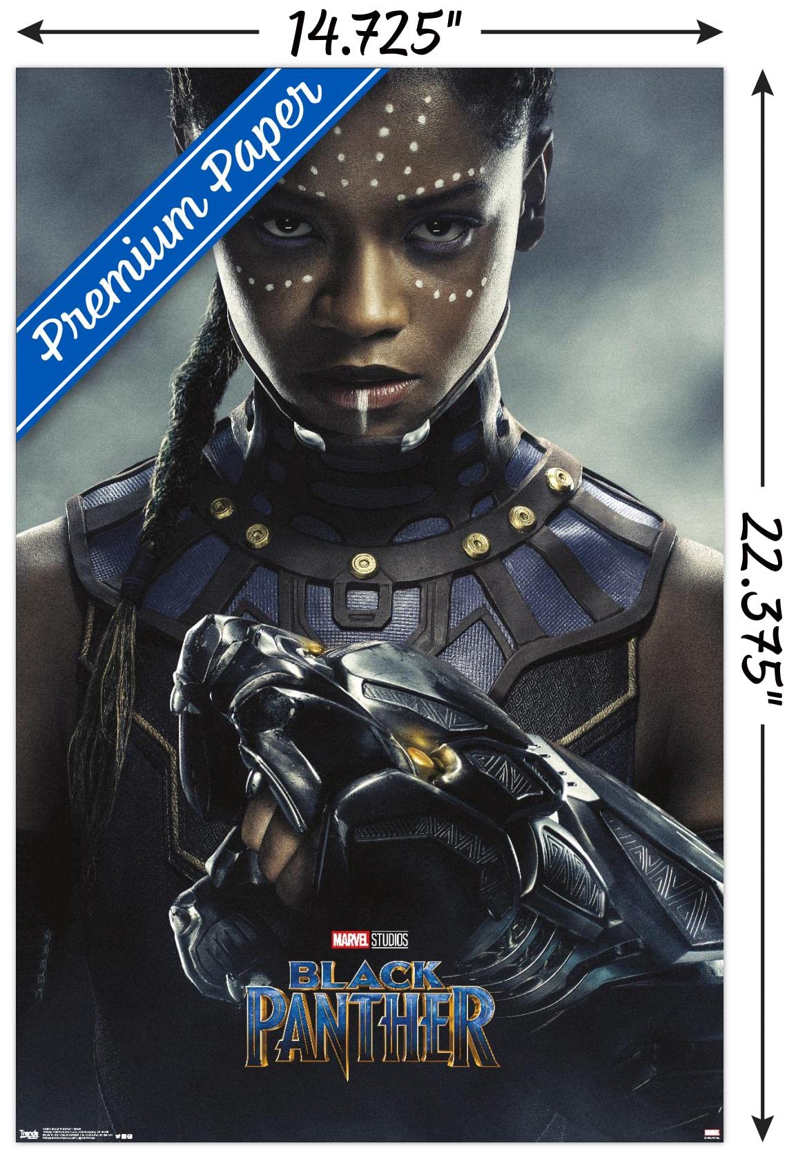 Vistazo A Un Póster De Black Panther A Falta De Su Lanzamiento Oficial