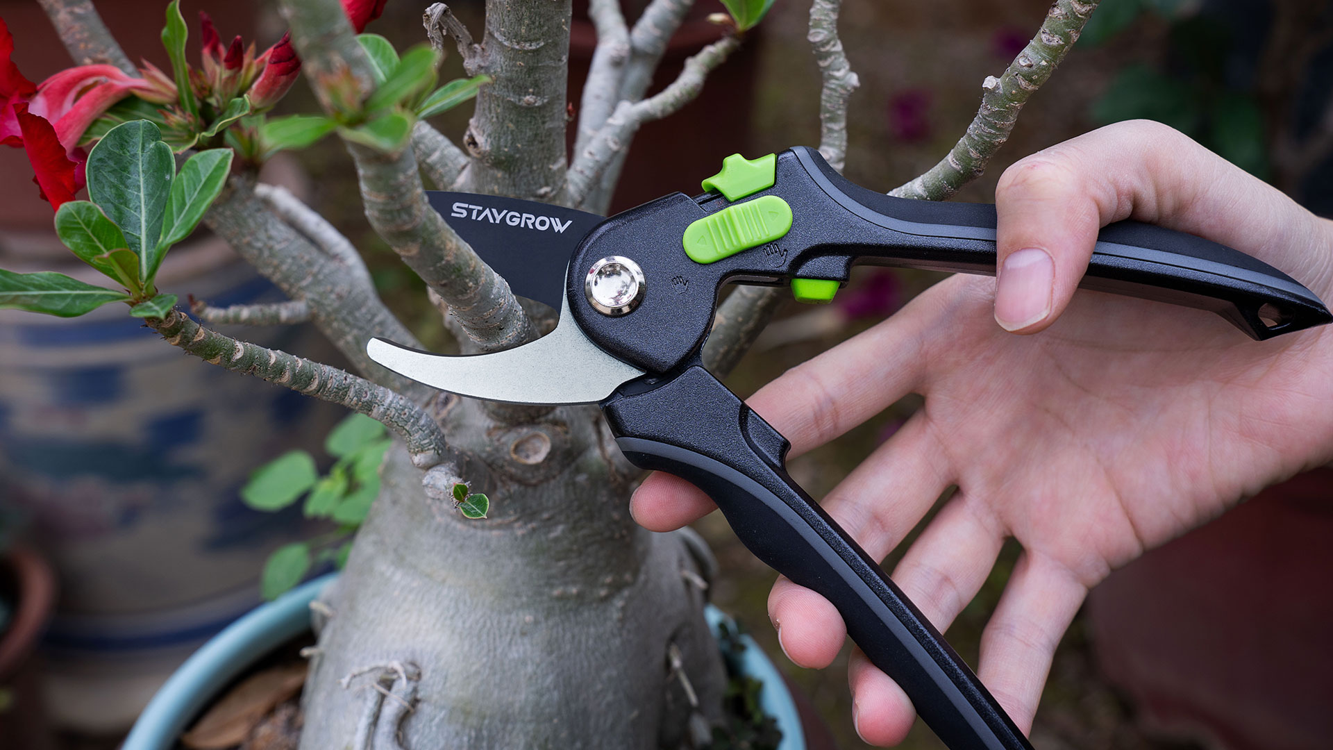 Amazon.com : Pruning Shears for Gardening - 8.5