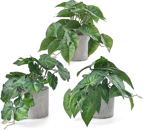 Mkono Plantas artificiales rústicas para interiores pequeñas y artificiales para decoración del hogar, paquete de 3 unidades, vegetación sintética