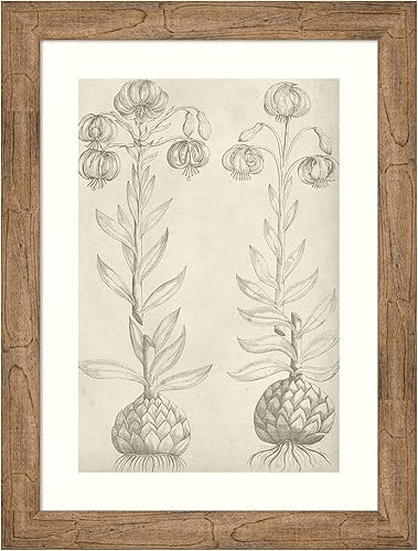 Amanti Art Framed Wall Art Print 28x21 Fresco Floral II by Vision Studio, Flowers Wall Art, Vintage Decor, Medium Poster Painting Artwork for Living