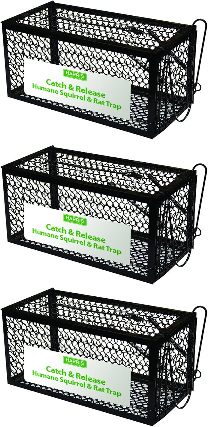 Harris Catch and Release Humane Cage Trap for Rats, Chipmunks, and Small Squirrels (3-Pack)