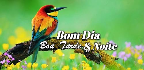 Bom Dia Boa Tarde & Noite Desejos Mensagens Amor