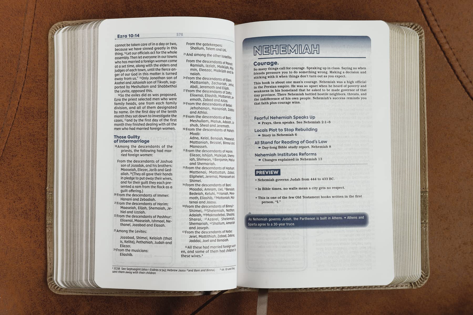 NIV Teen Study Bible: New International Version, Brown, Leathersoft, Comfort Print