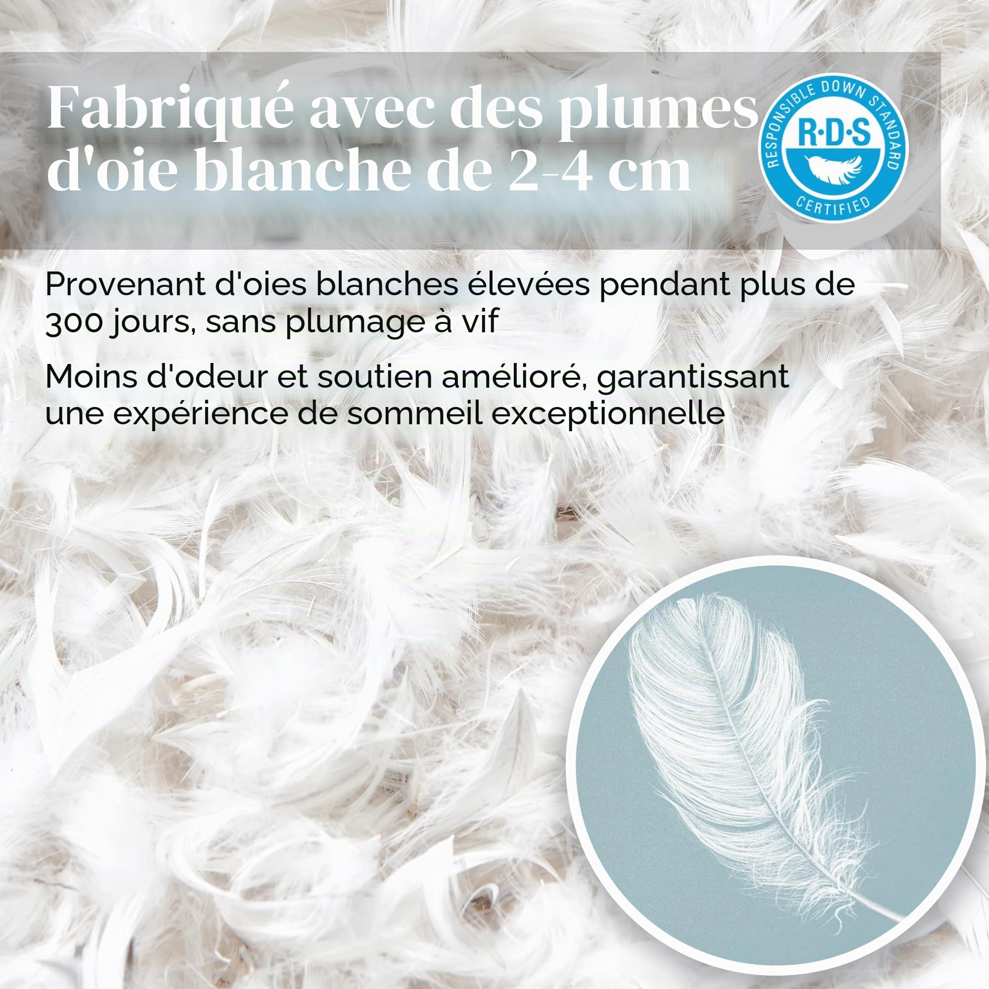Deodar Lot de 2 Oreillers en Plumes et Duvet d'oie 60 x 60 cm | Housse 100 % coton, lavables en machine, certifiés Öko-Tex et RDS, pour un confort doux et un sommeil agréable
