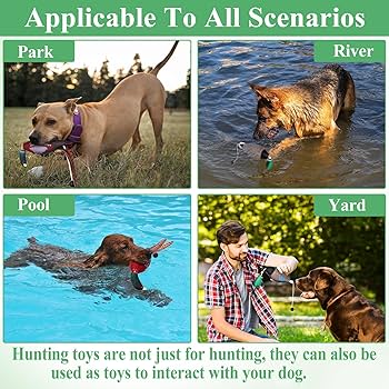 Pet Supplies : Attikee 2 PCS Dead Duck Dummy Bumper For Hunting Dog