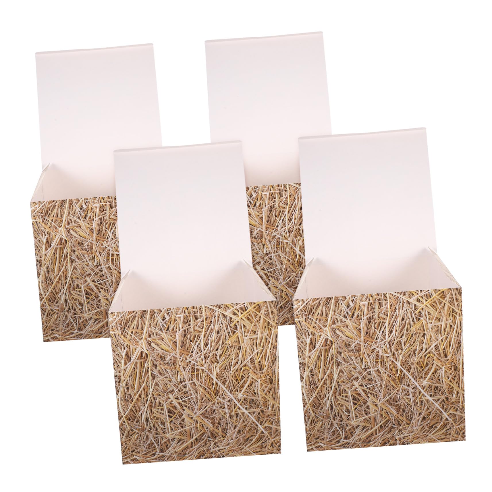4 boîtes à foin décoratives en papier pour fête thème country western