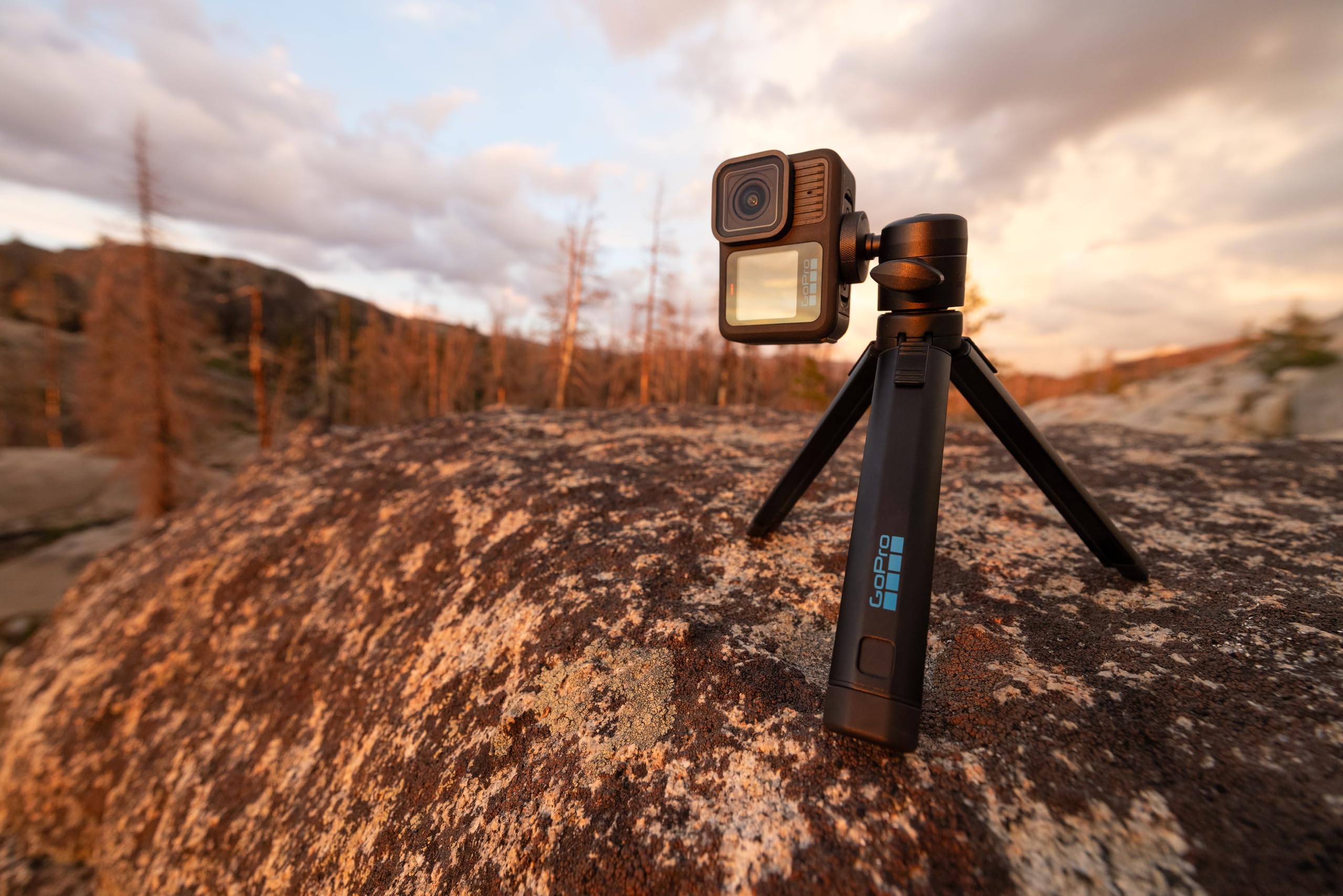 GoPro Treppiede + Testa a sfera – Accessorio ufficiale GoPro
