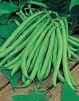Vista 2 de Bean Blue Lake Great Heirloom Garden Vegetable de Seed Kingdom 30 Seeds