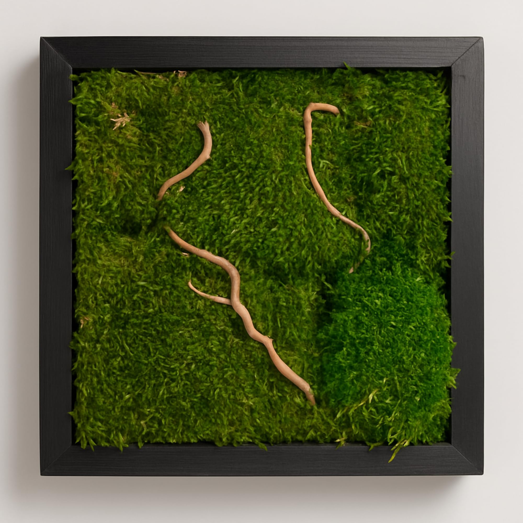 Quadro Bosco con Muschio Stabilizzato 30x30 cm - Made in Italy - Quadretto da Parete con Cornice Nera Per Decorazioni in Soggiorno - Muschio e Rami di Salice - con Gancetto (Moderno, Nero, 30x30)