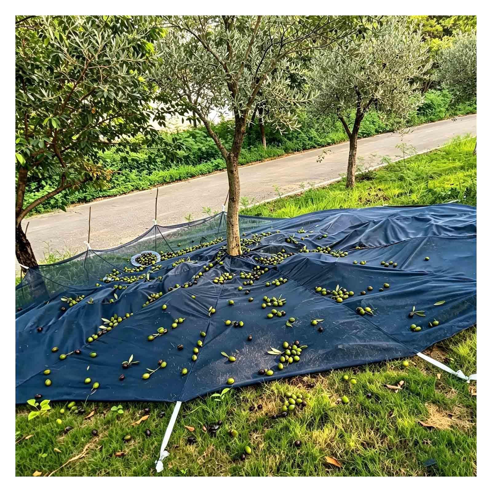 Manto para Recolección De Frutos, Resistente y Flexible Red De Cosecha De Frutas con Corte Central para El Jardín Y El Huerto,Round-20×20ft（6 * 6m）