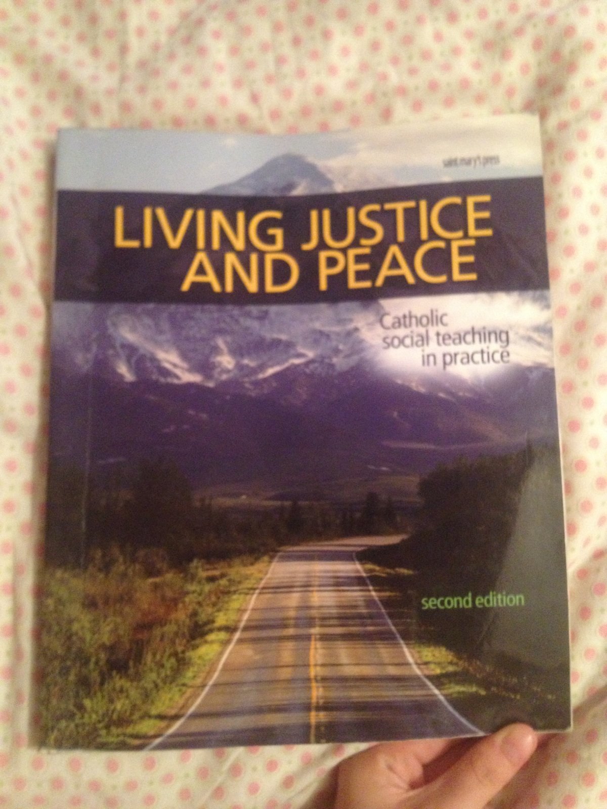 Living Justice and Peace (2008): Catholic Social Teaching in Practice, Second Edition
