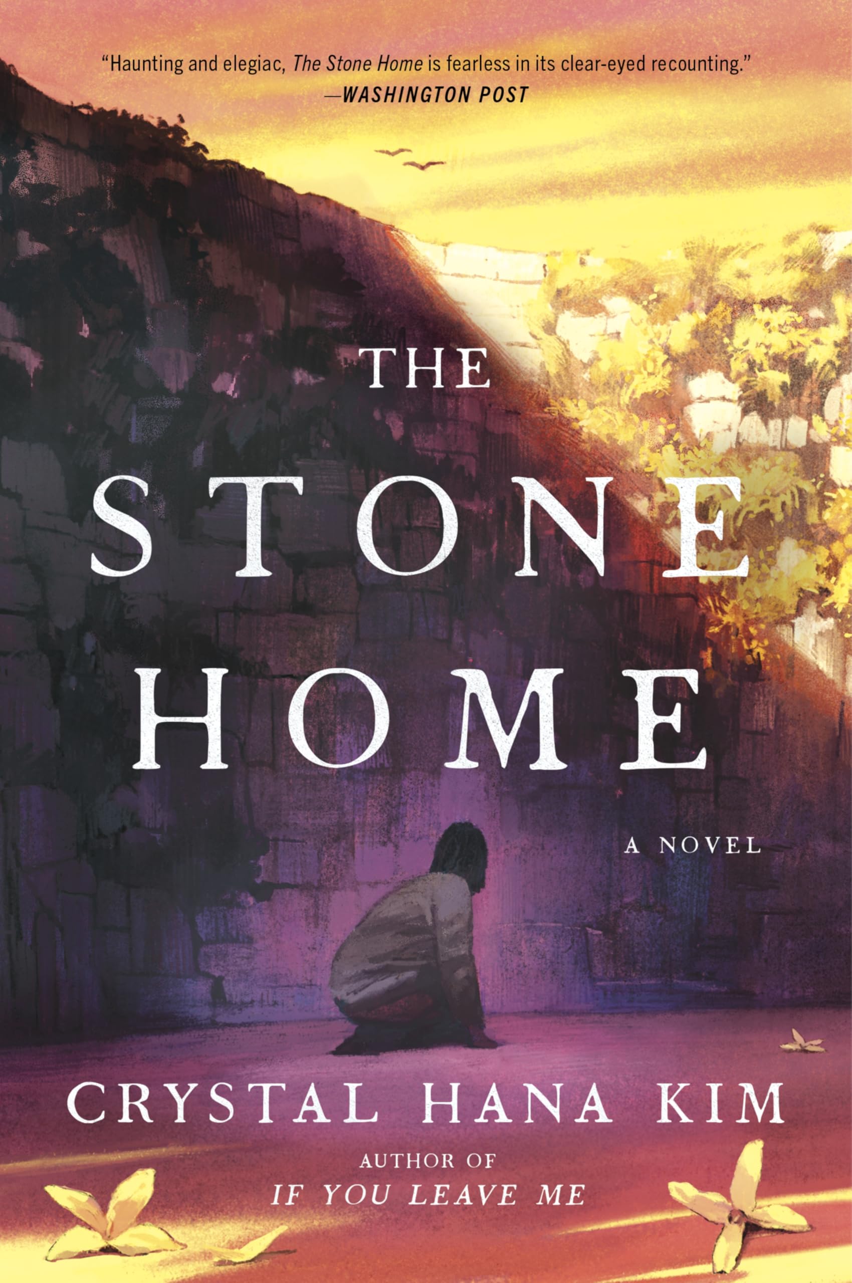 The Stone Home: A Haunting Korean American Family Saga of Survival Inspired by South Korea's True History