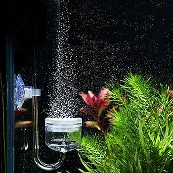 Amazon | Nofiss エアポンプ専用酸素補給 観賞魚用小径