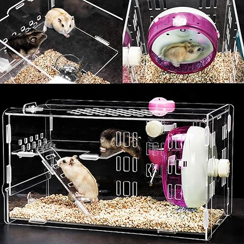 Miniatura 6 de kathson Jaula de hámster enano, jaulas y hábitats transparentes para hámsteres pequeños para animales, jaula acrílica, lindo hábitat para mascotas