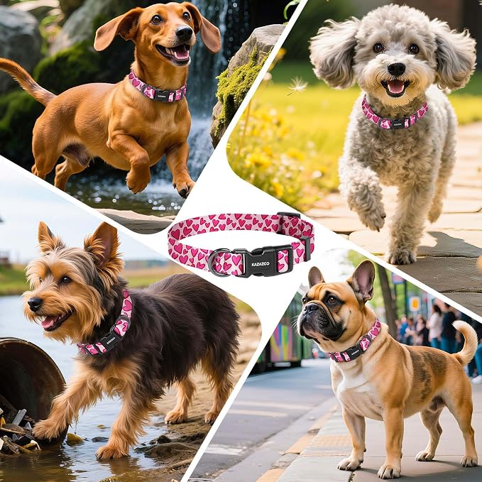 Collar de nylon ajustable para cachorro talla XS rosa miniatura 7
