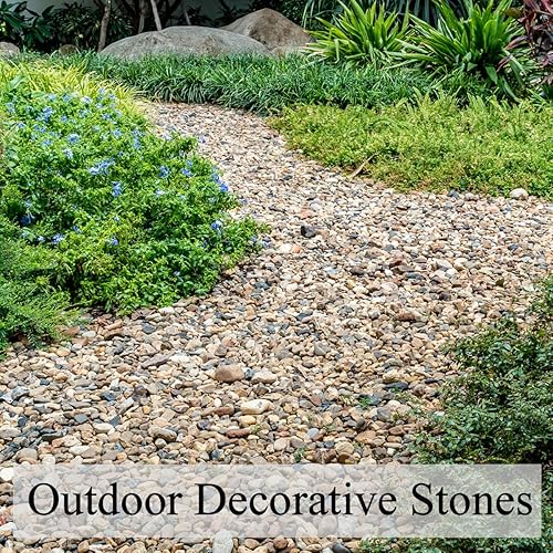 Miniatura 6 de FANTIAN Guijarros de grava natural para acuario, grava de guisantes de 14 de pulgada para pecera, rocas decorativas de río para suculentas, rellenos