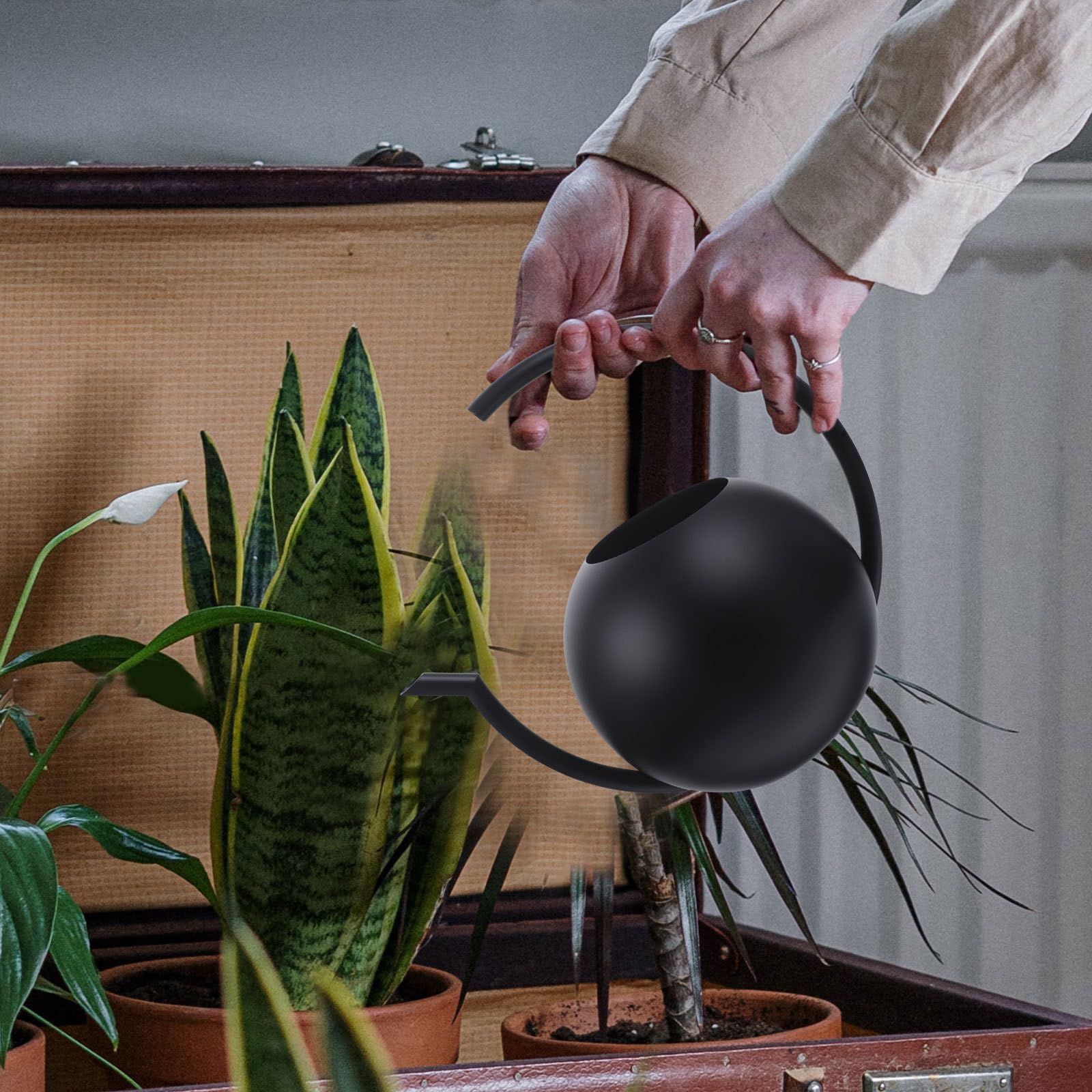 jojofuny Gießkanne Edelstahl 1 Liter mit Langem Ausguss Leichter Gartengießkessel für Zimmerpflanzen und Blumen Runder Griff Rostfrei Kompakt für Garten und Balkon