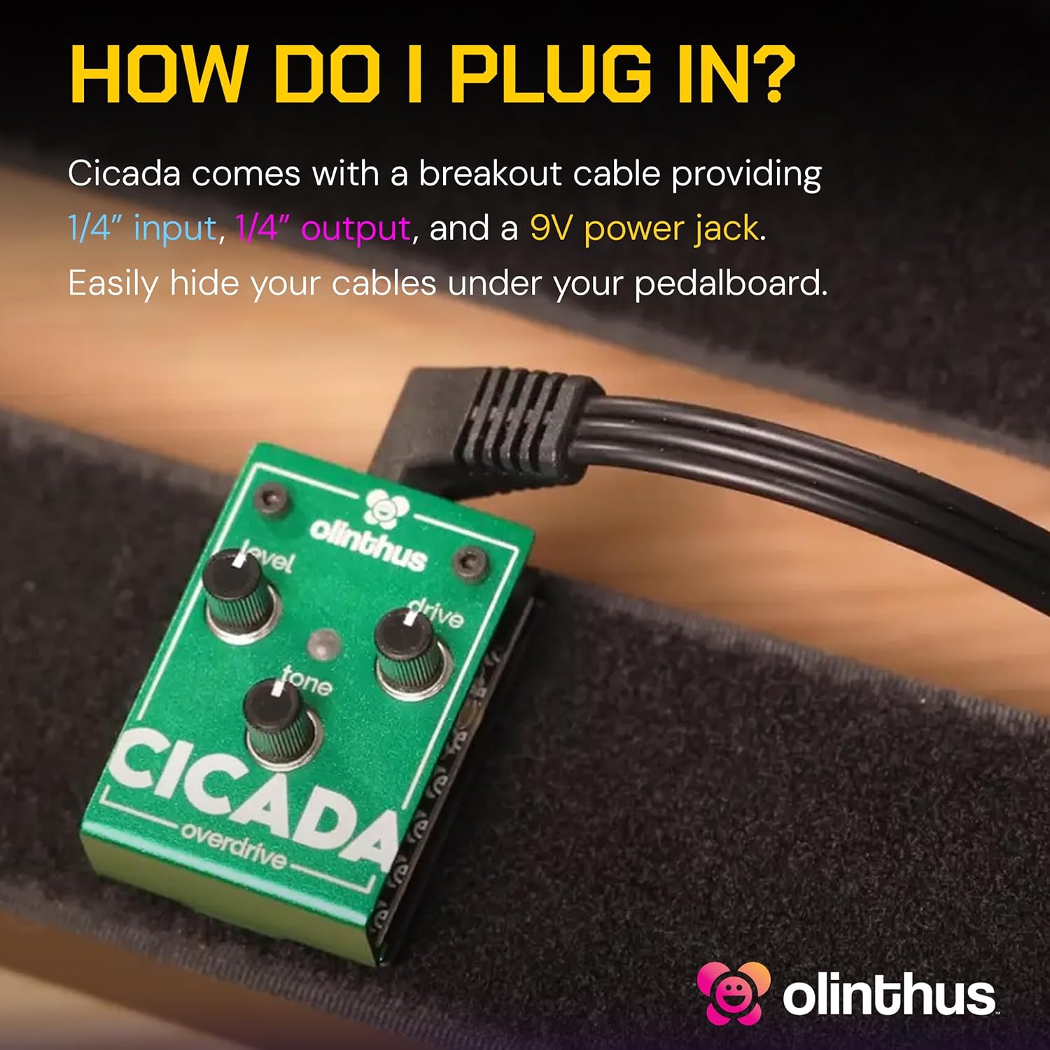 Olinthus Cicada Overdrive – World's Smallest Guitar Effects Mini Pedal