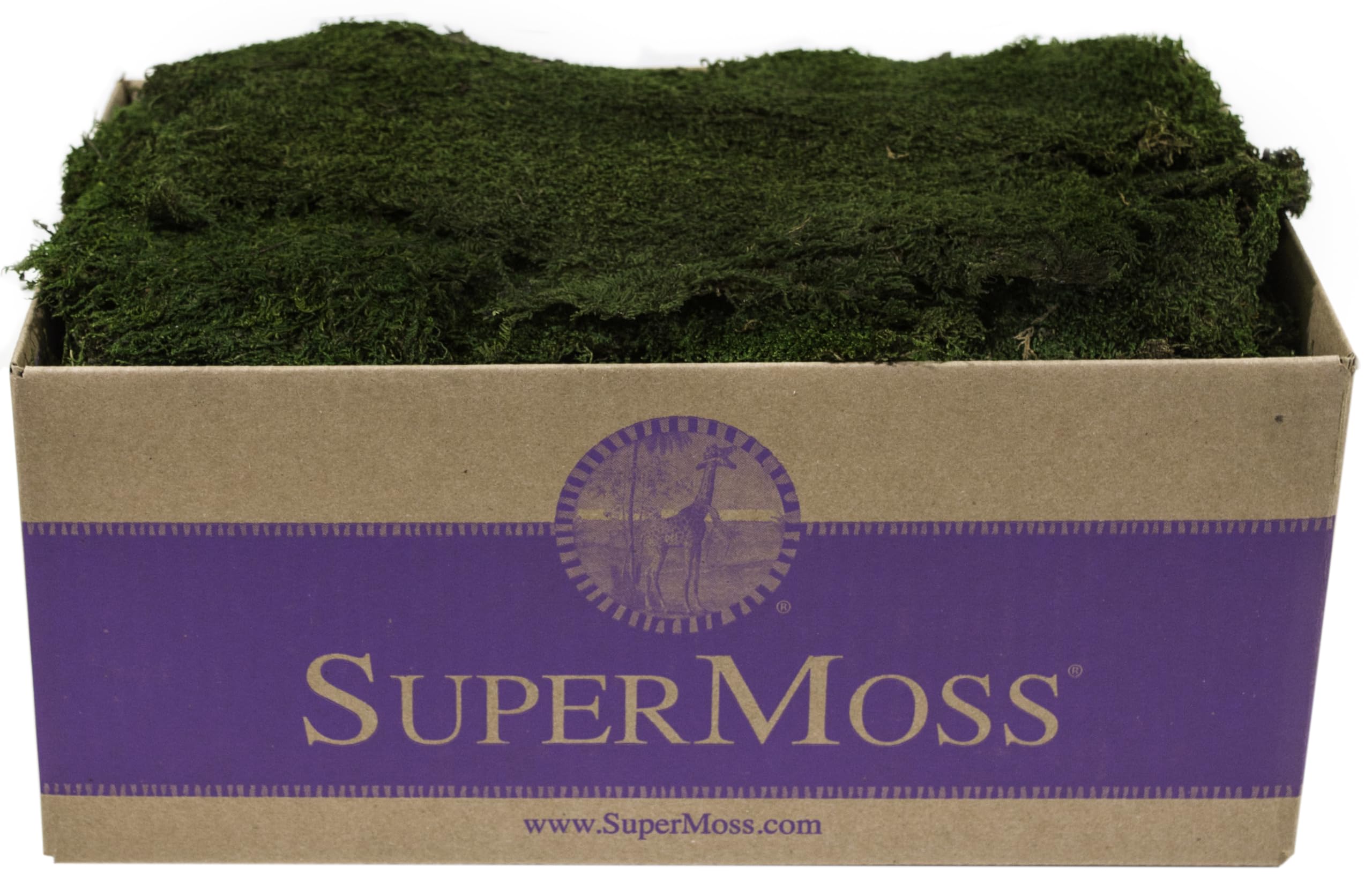 SuperMoss (21559) Sheet Moss Preserved, Natural Green, 25lbs Box
